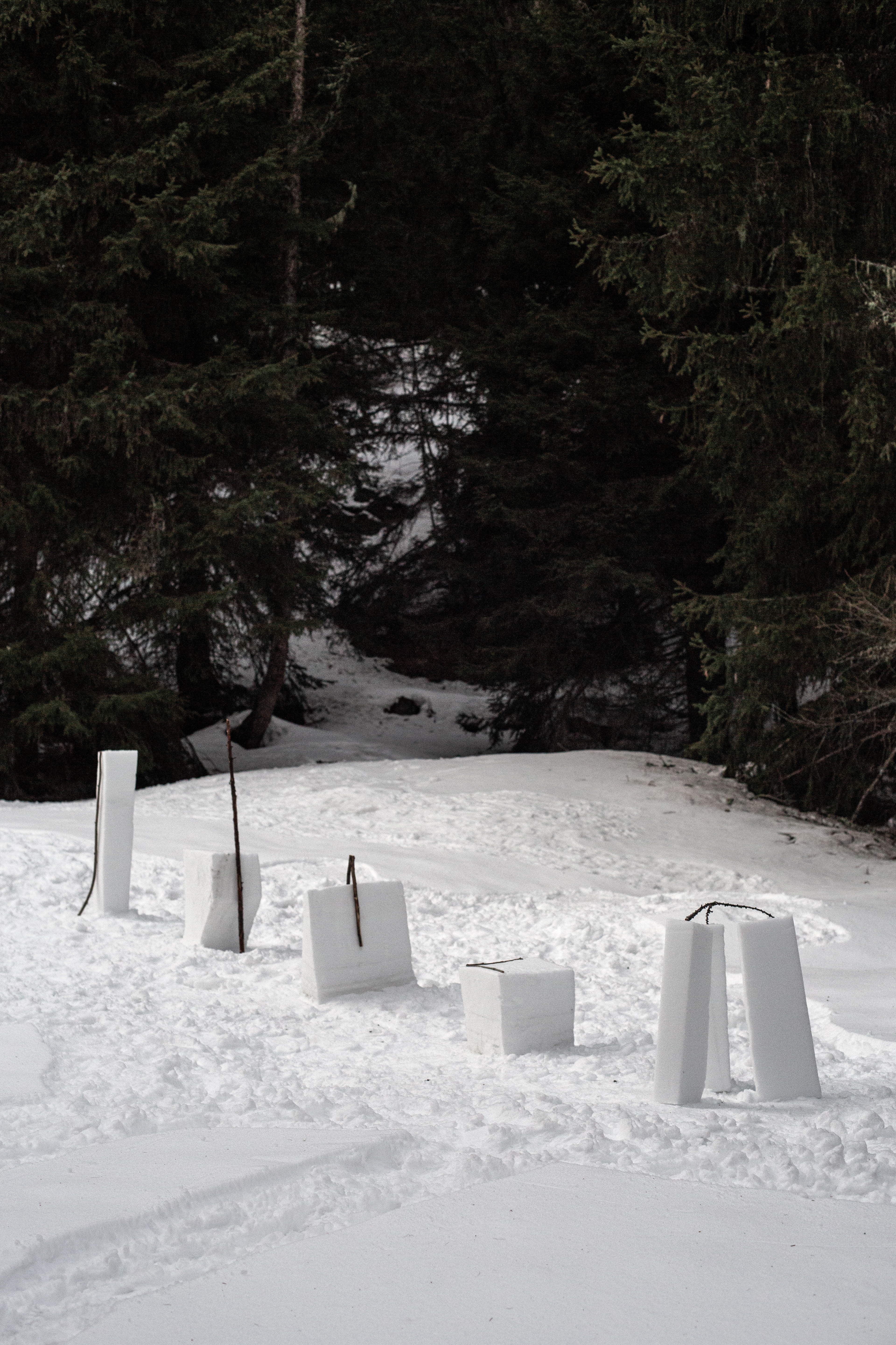 Quand fondra la neige, où ira le blanc ? Chamonix, 2020