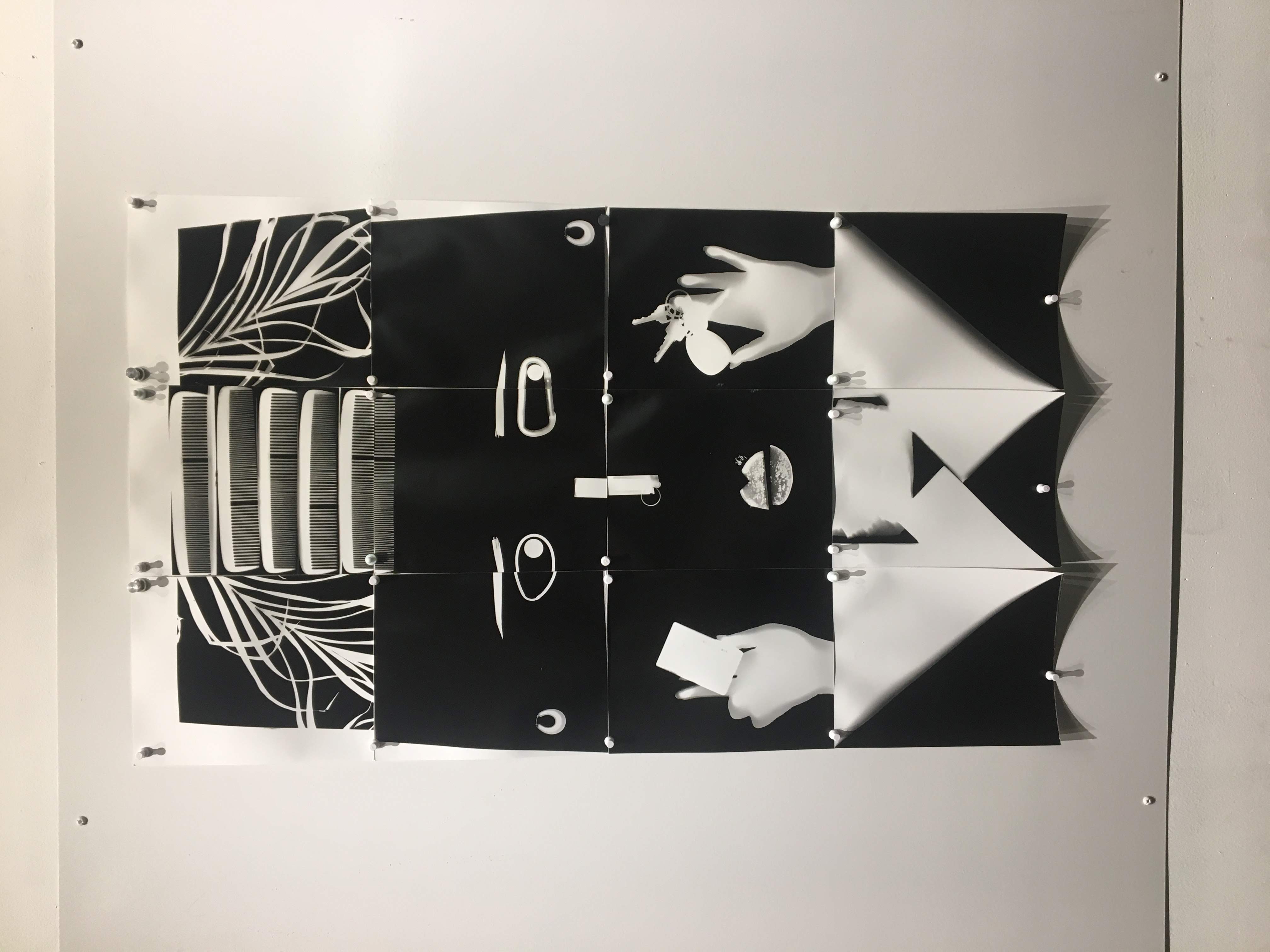 Photogram Portrait, 2019