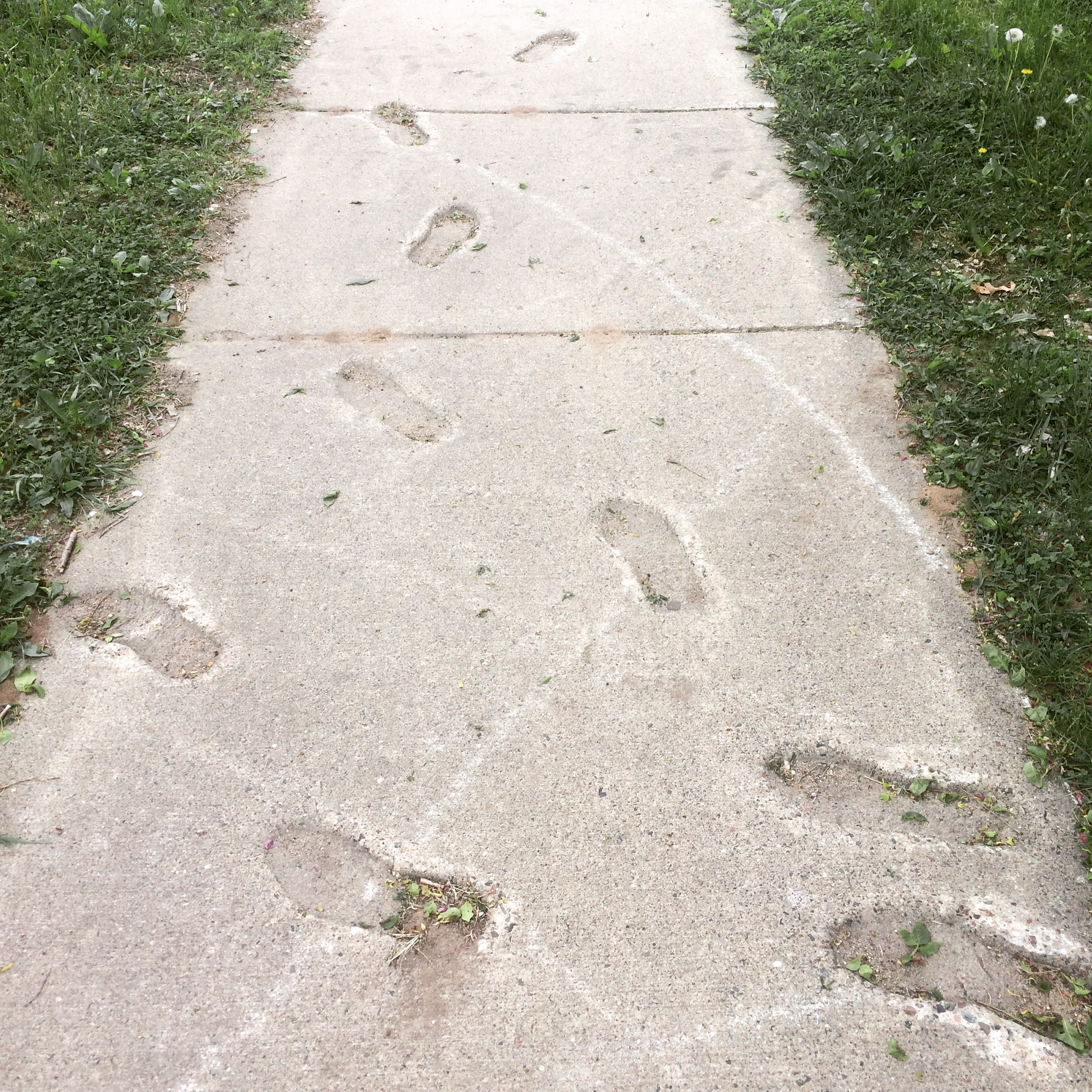 Long Trace of Minneapolis