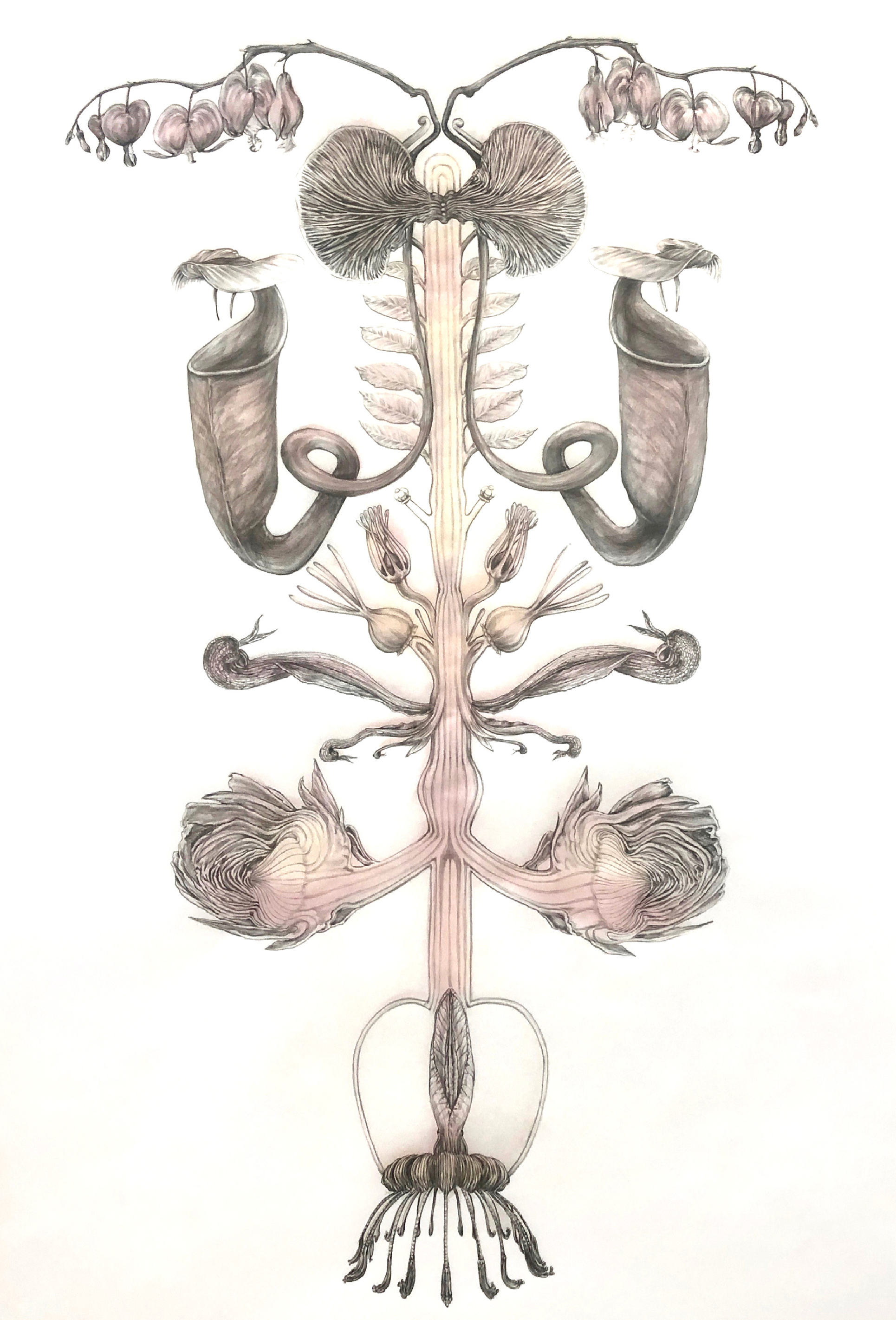 Bleeding Heart, 2021