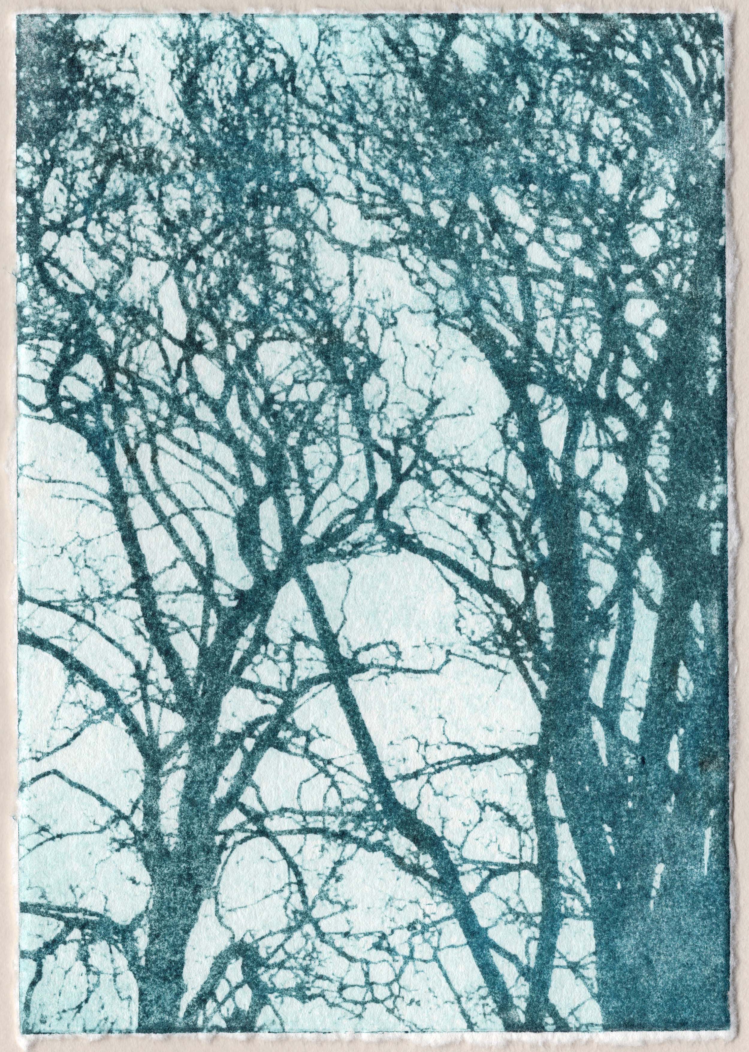 Frost tree 6