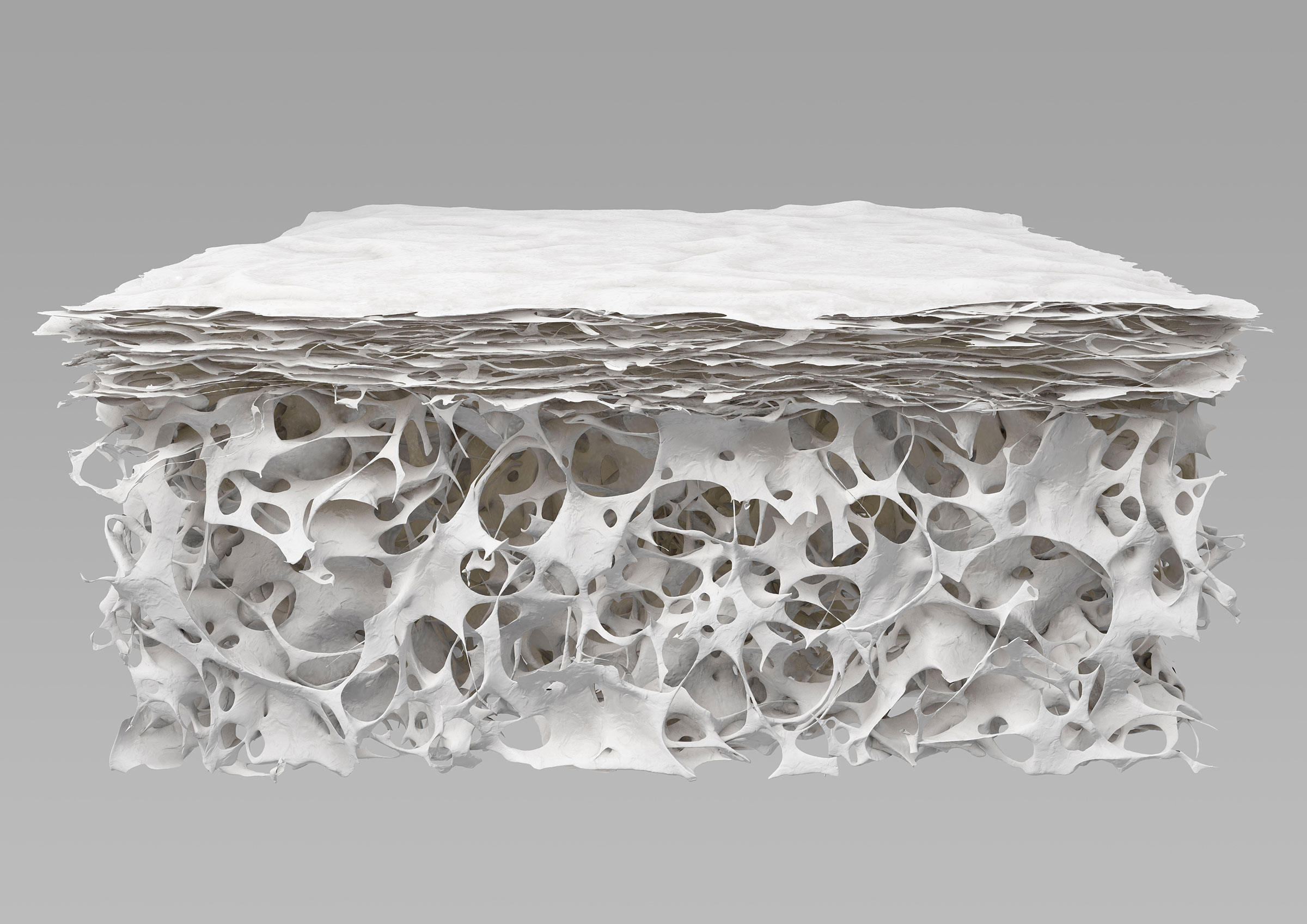 Soft tissue biomaterial. 3D rendering for a product visual.