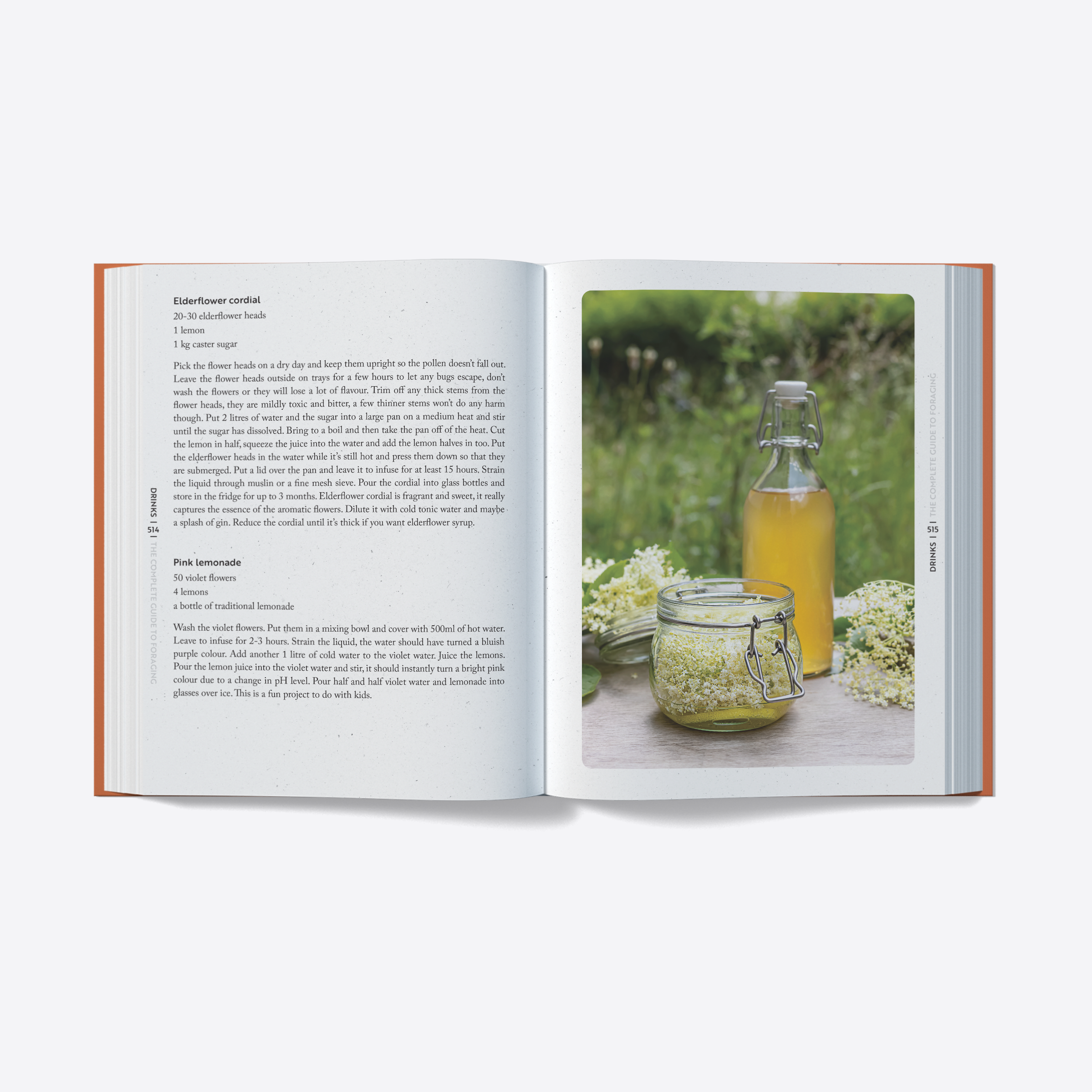 published by UK Wildcraft, Aug 2025 (photographs © UK Wildcraft)