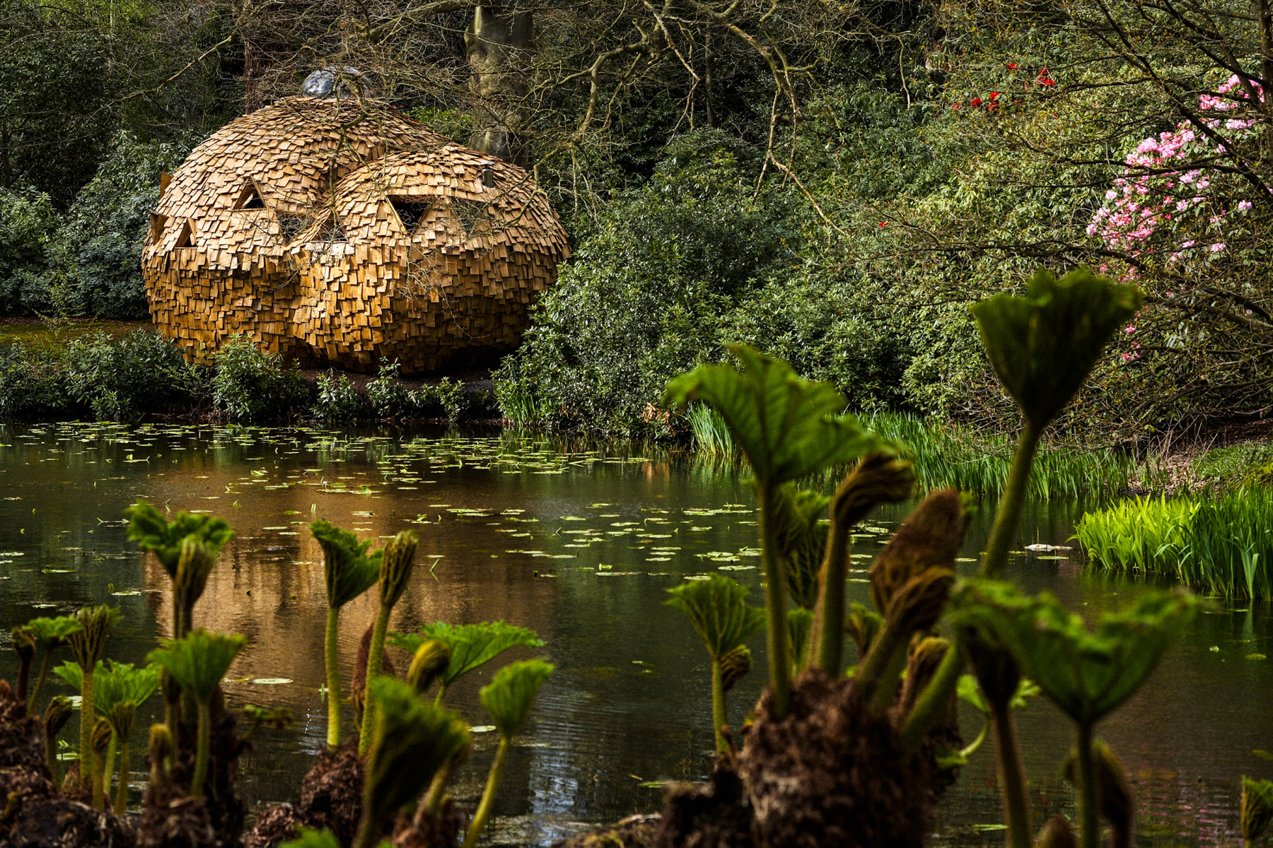 I'm So Sorry. Goodbye