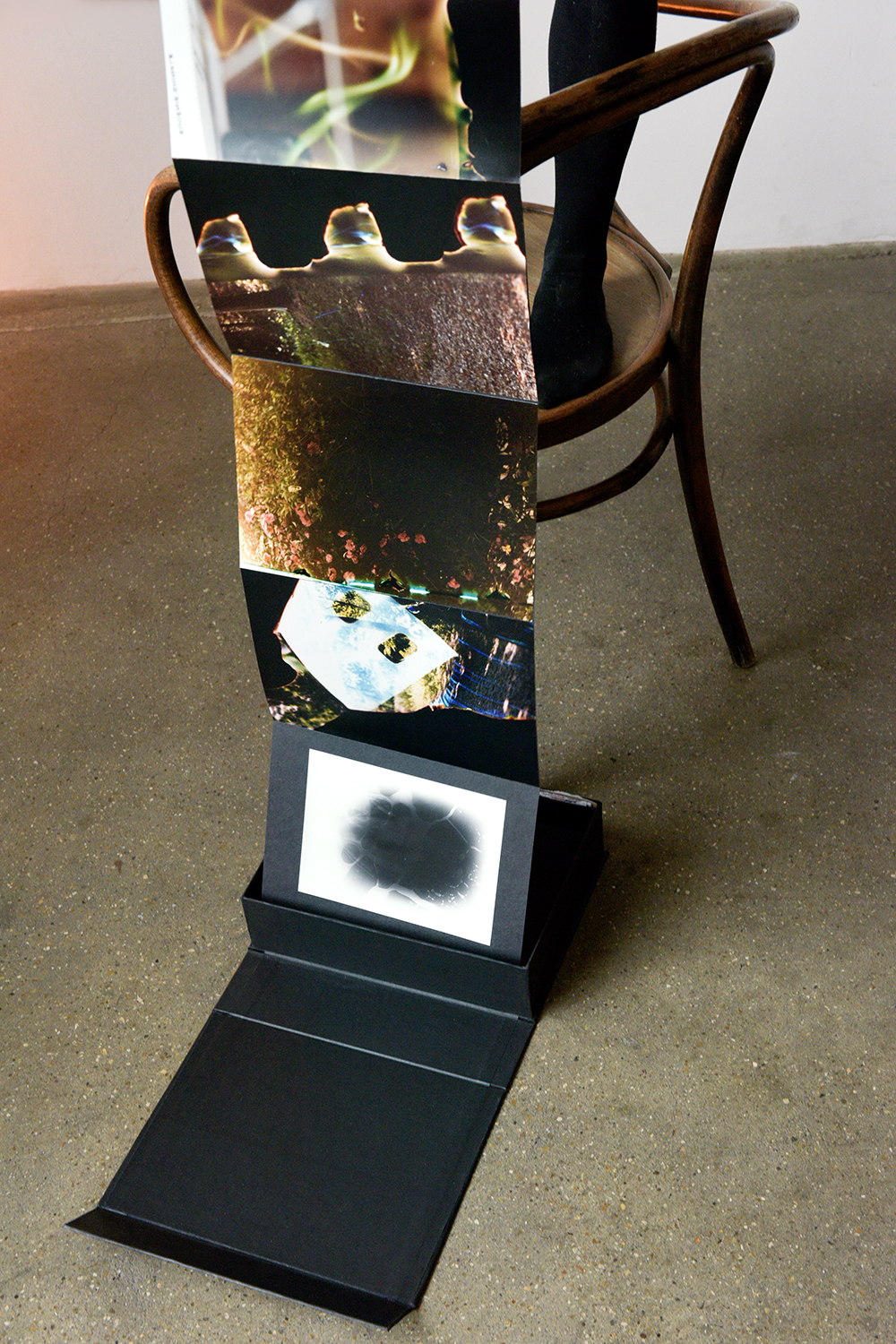 Scrapbook, Katrina Stamatopoulos