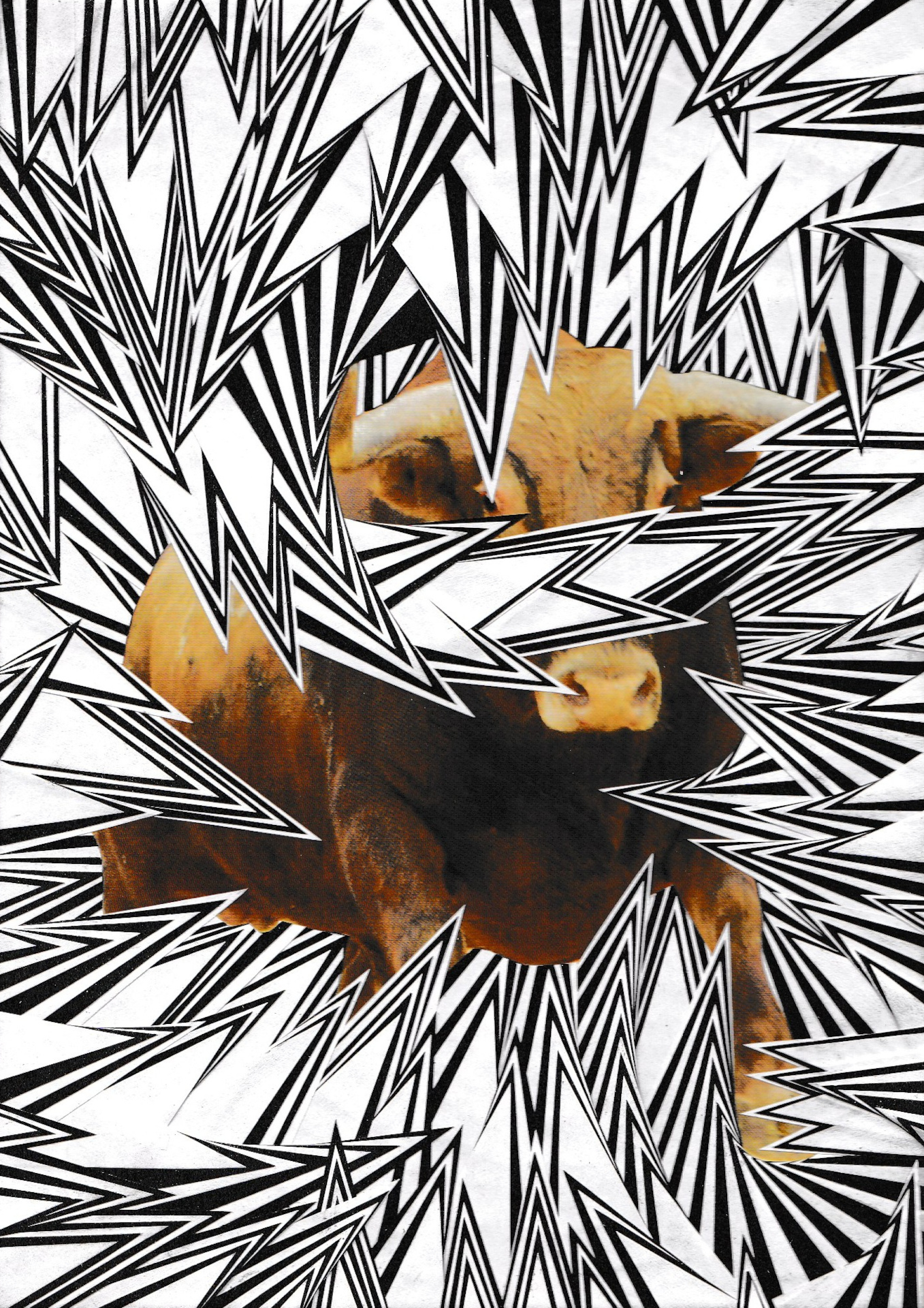 Toro for Jeremy Cooper, 2014, 4.5 x 6 inches