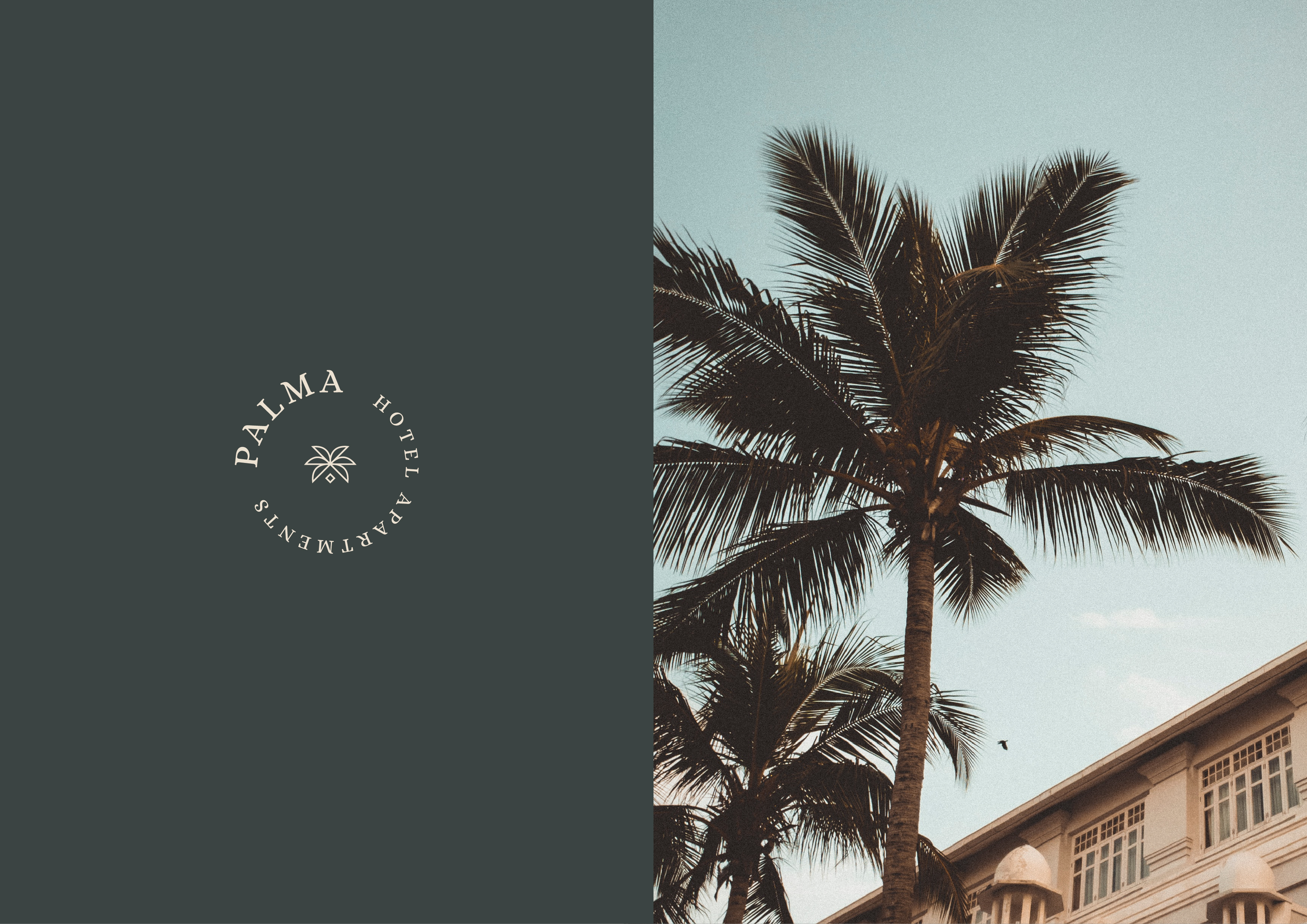 Palma Brand Identity ︎