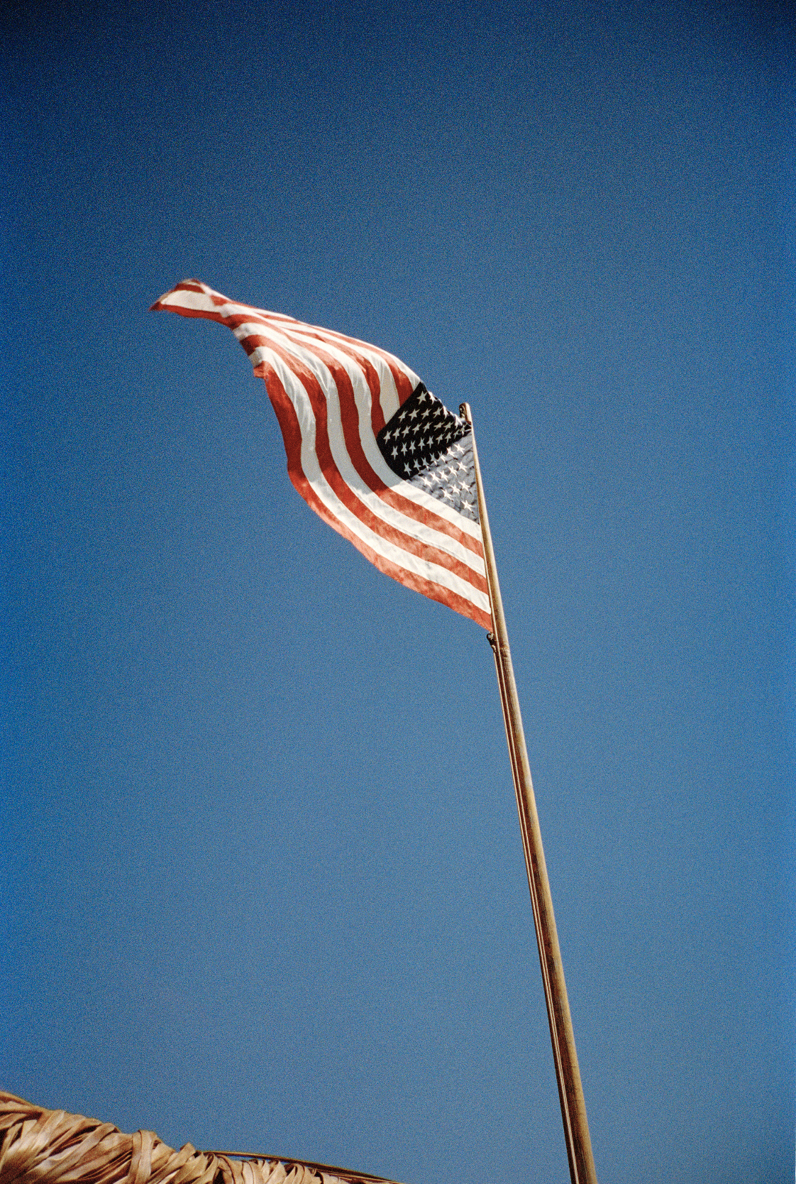 Tommy Hilfiger – Summer23