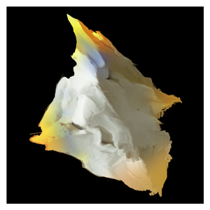 January: Rachel Pluton