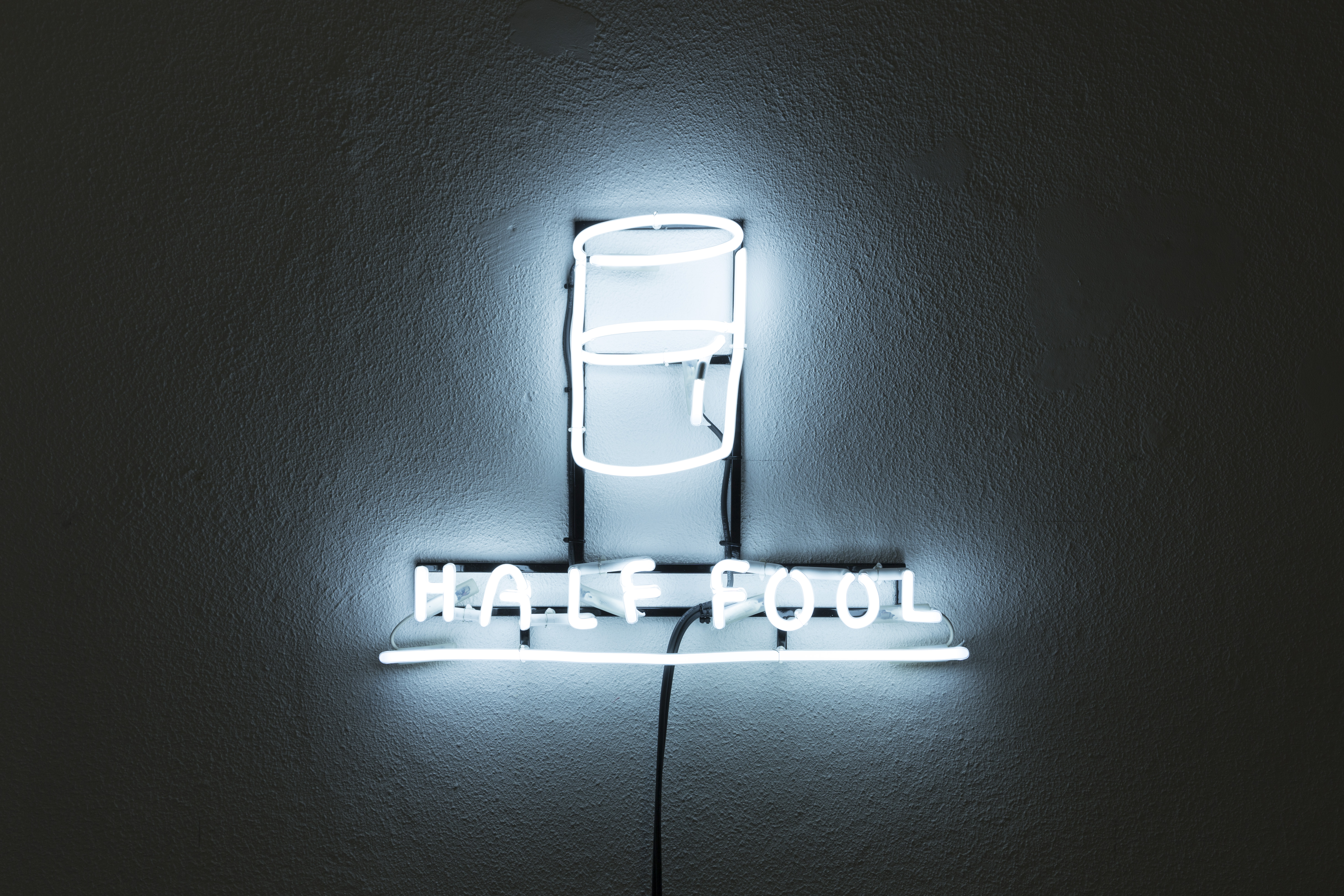 Half Fool. 2015Neon light