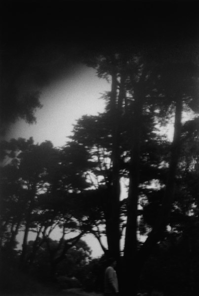 From Landscape Series