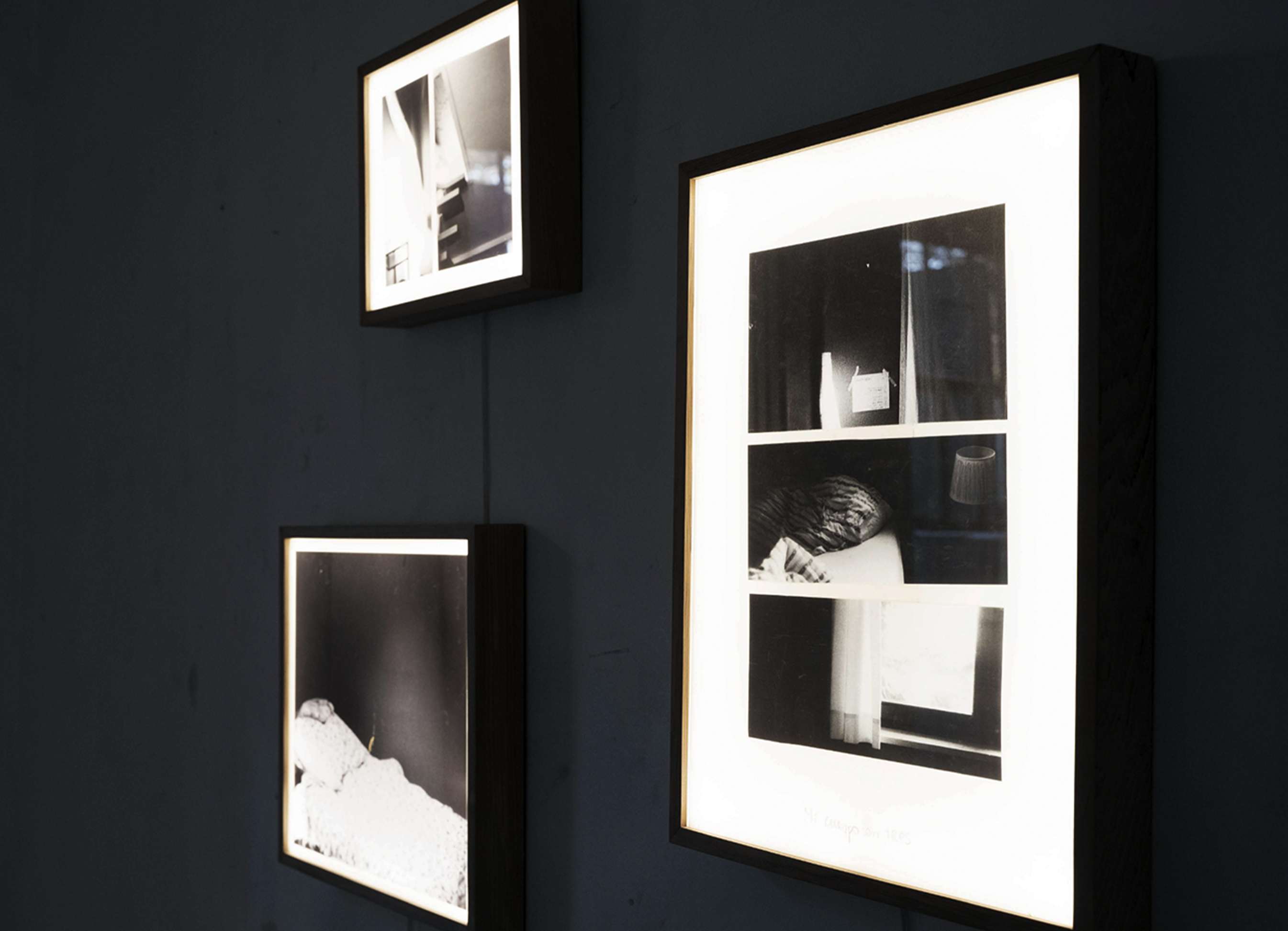 Light Boxes / Cama Arrendada / 2022