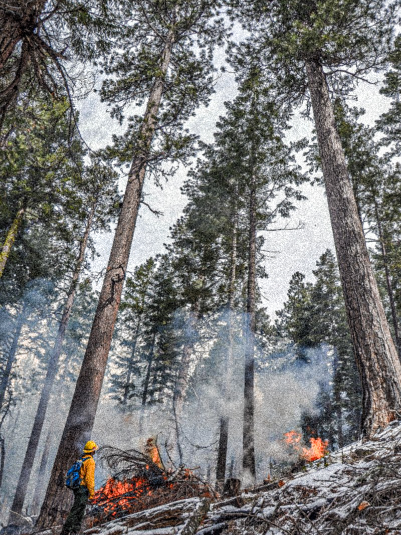 https://www.ashland.or.us/News.asp?NewsID=4175