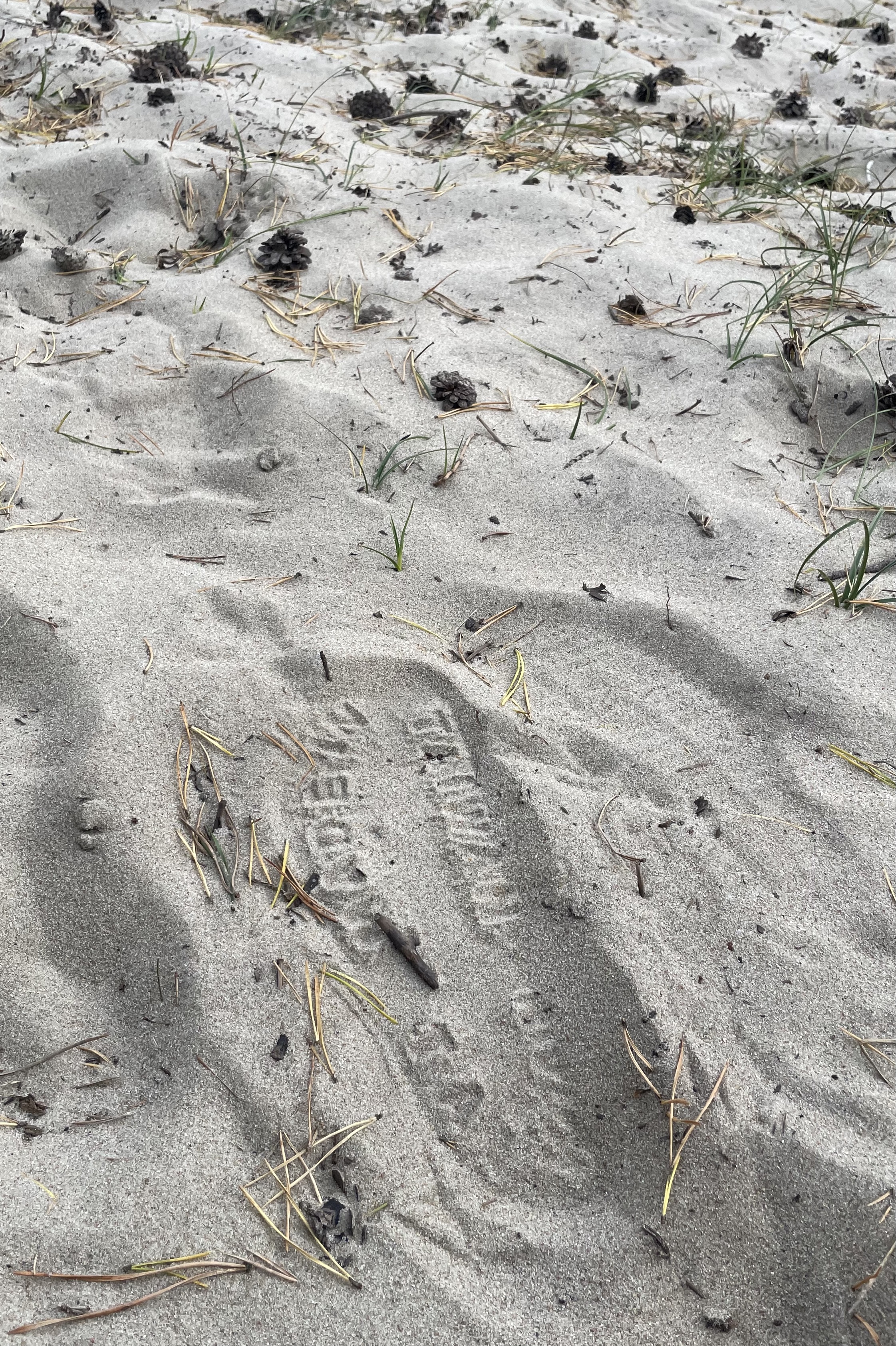 Sandals on sand. Parnidis Dune, Lithuania. October, 2025