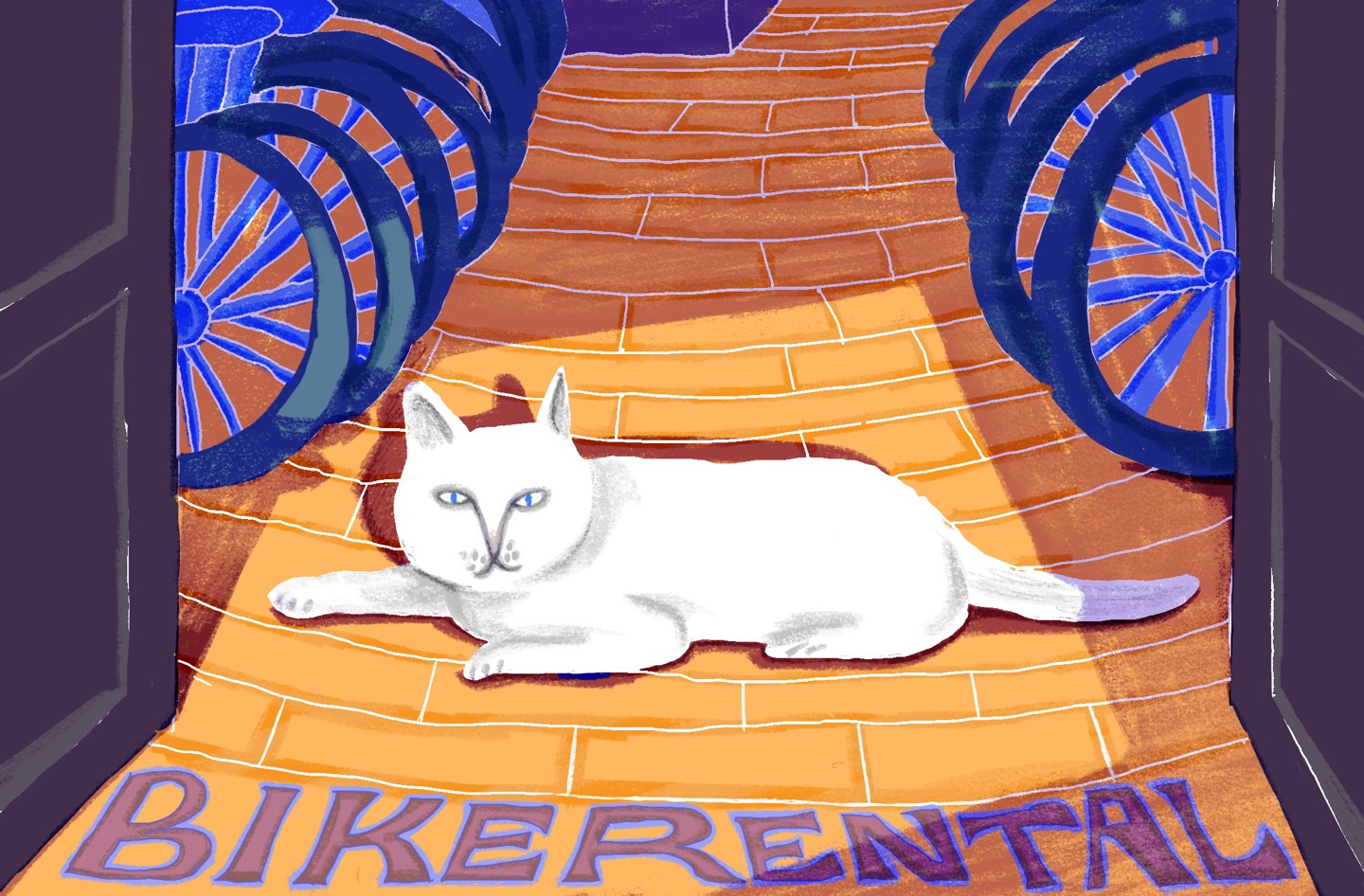 Bike rental shop of utrecht  ©2023.