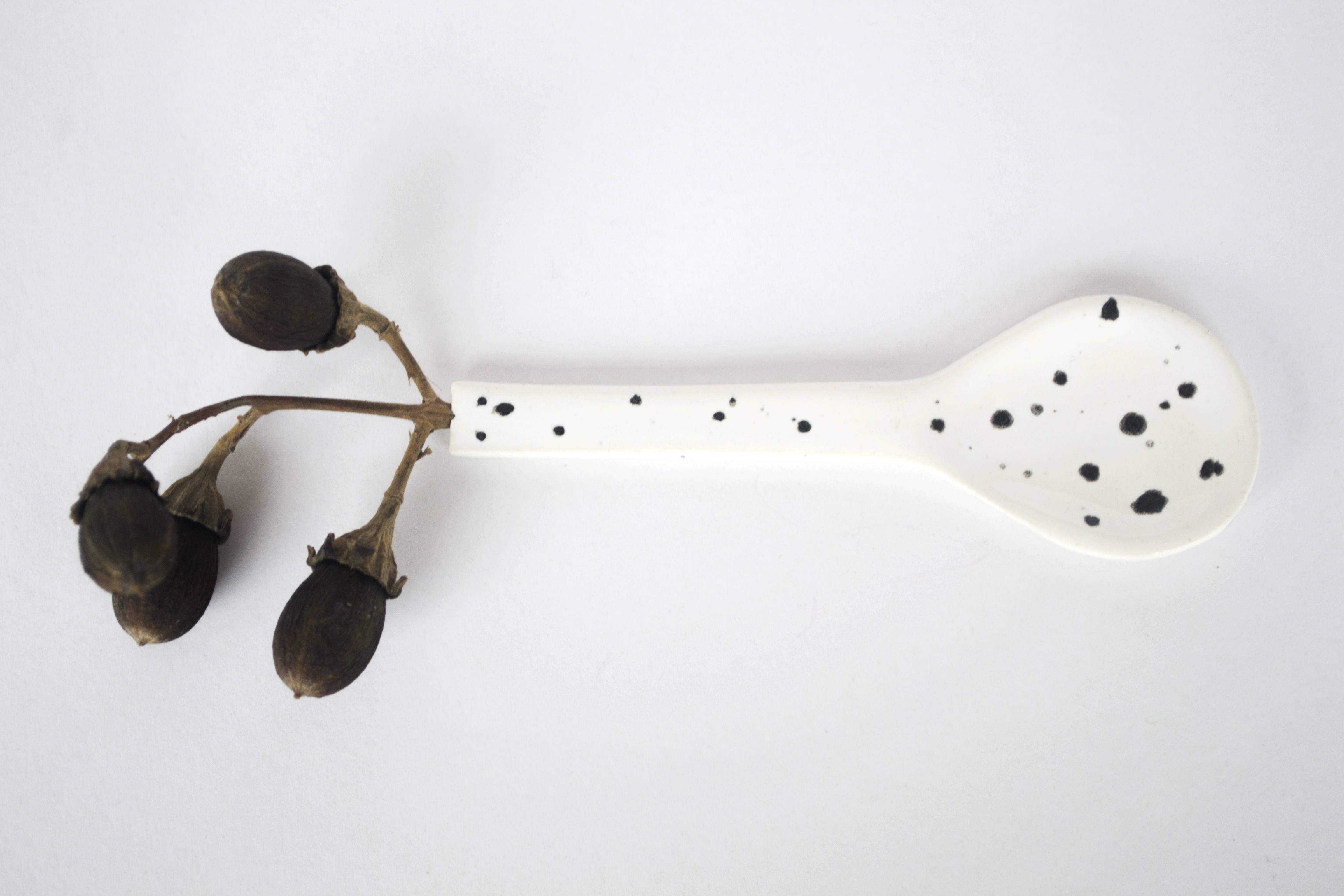 Série Driftwood, out 2018