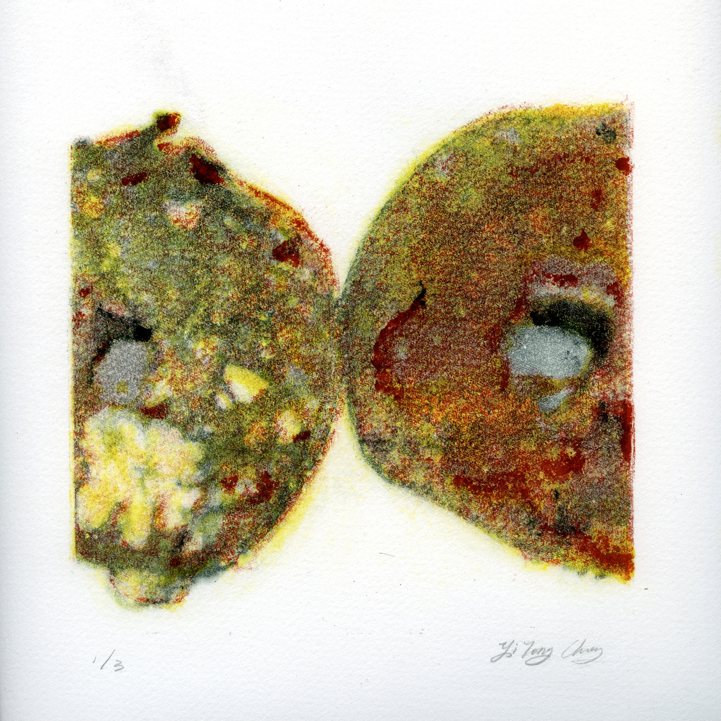 Three layers mono print