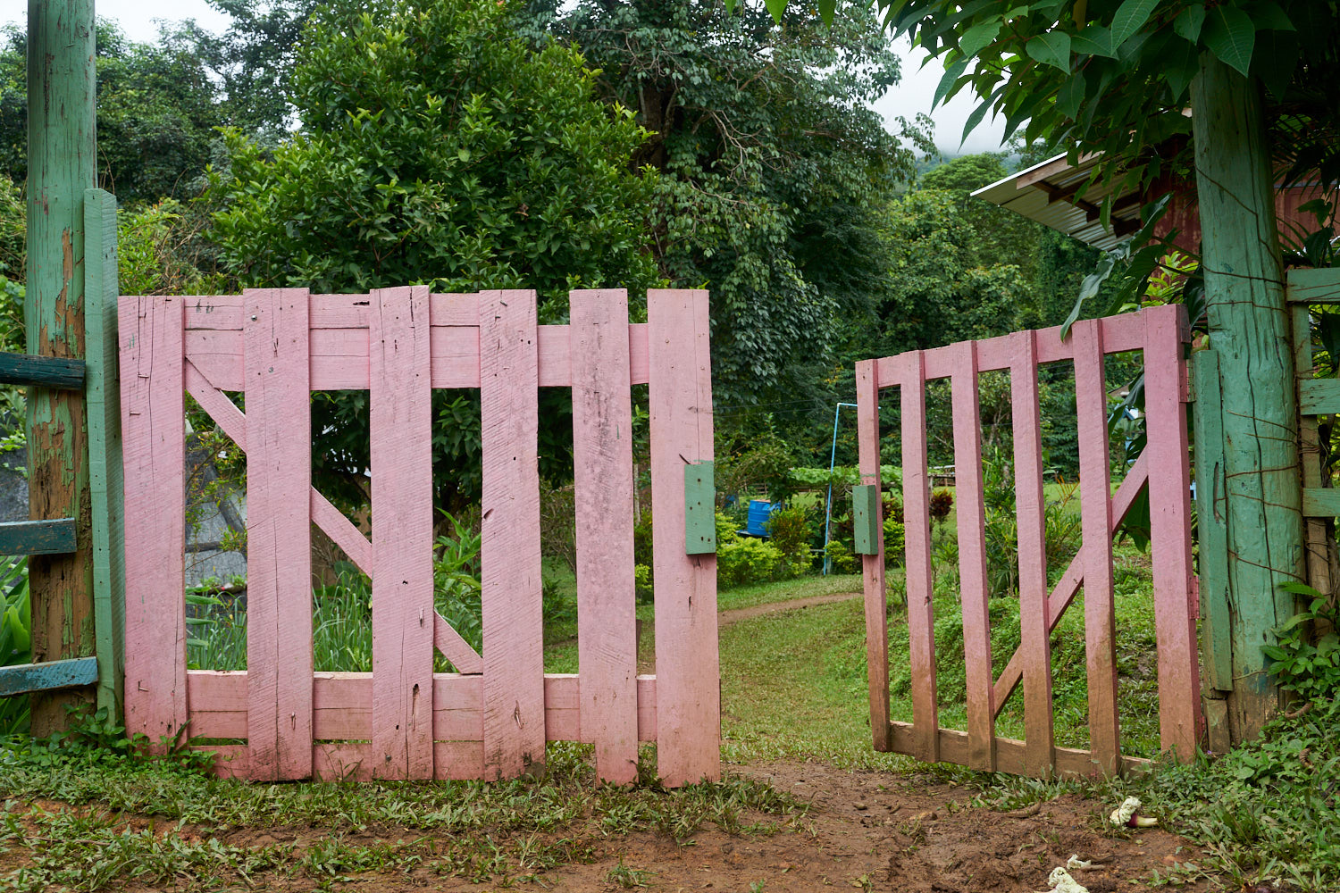 Hao Nam Thailand 08/2018