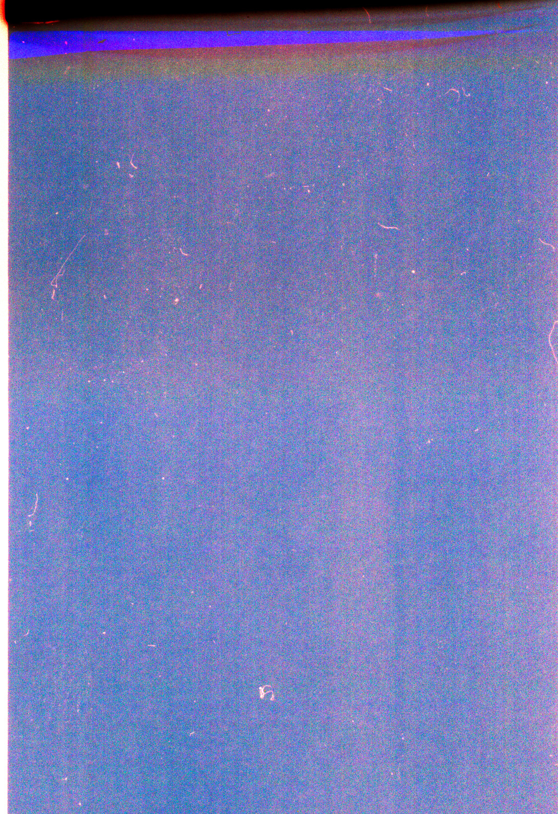 I Read You Before You Wrote, 2021