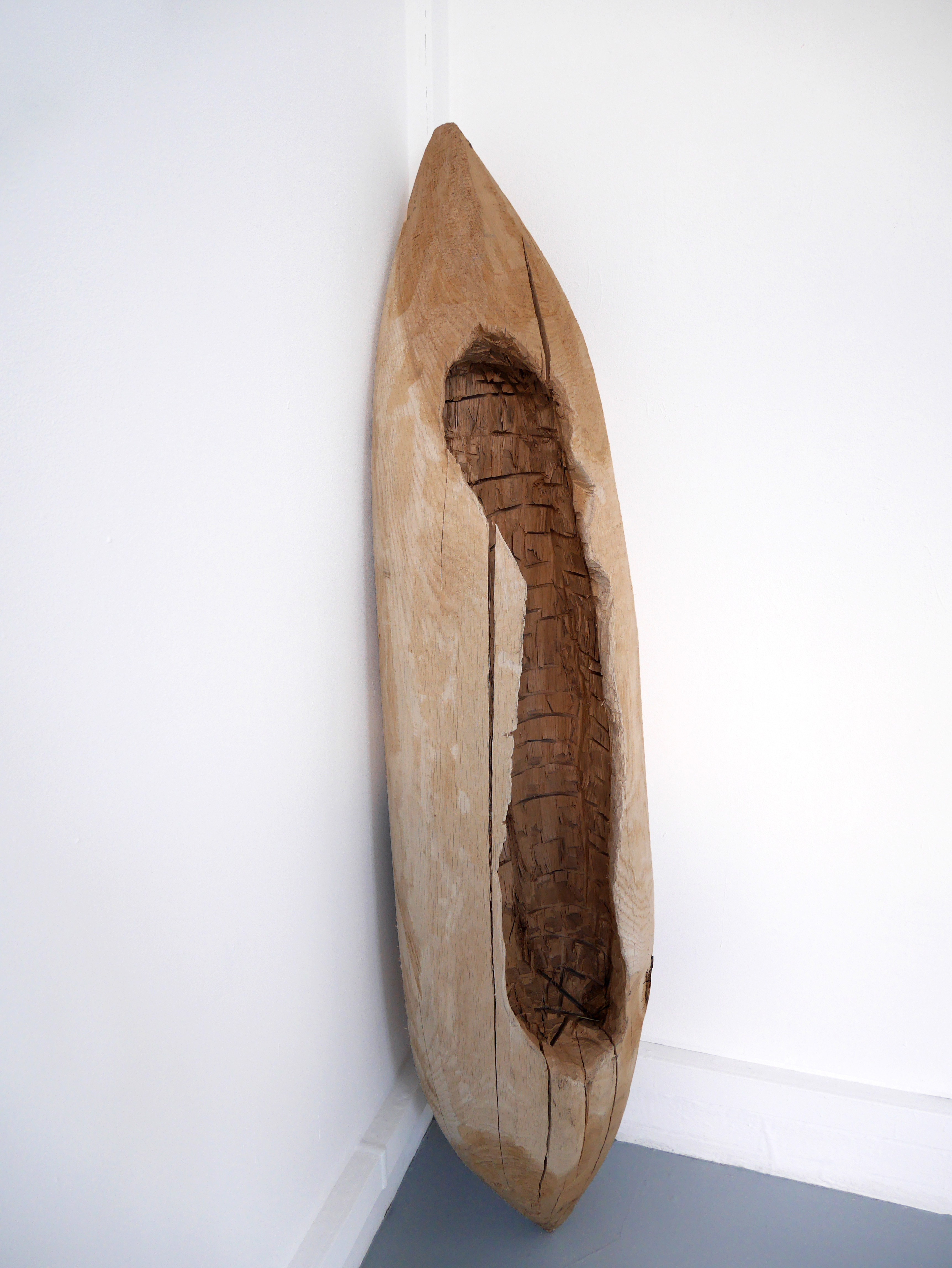 Navette, Savana Elahcene