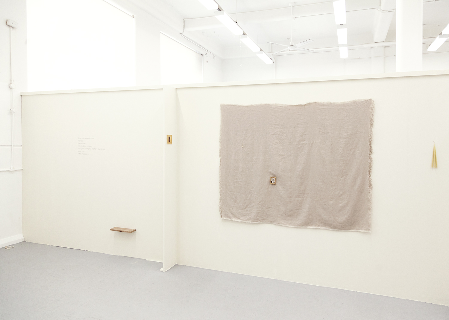 installation view