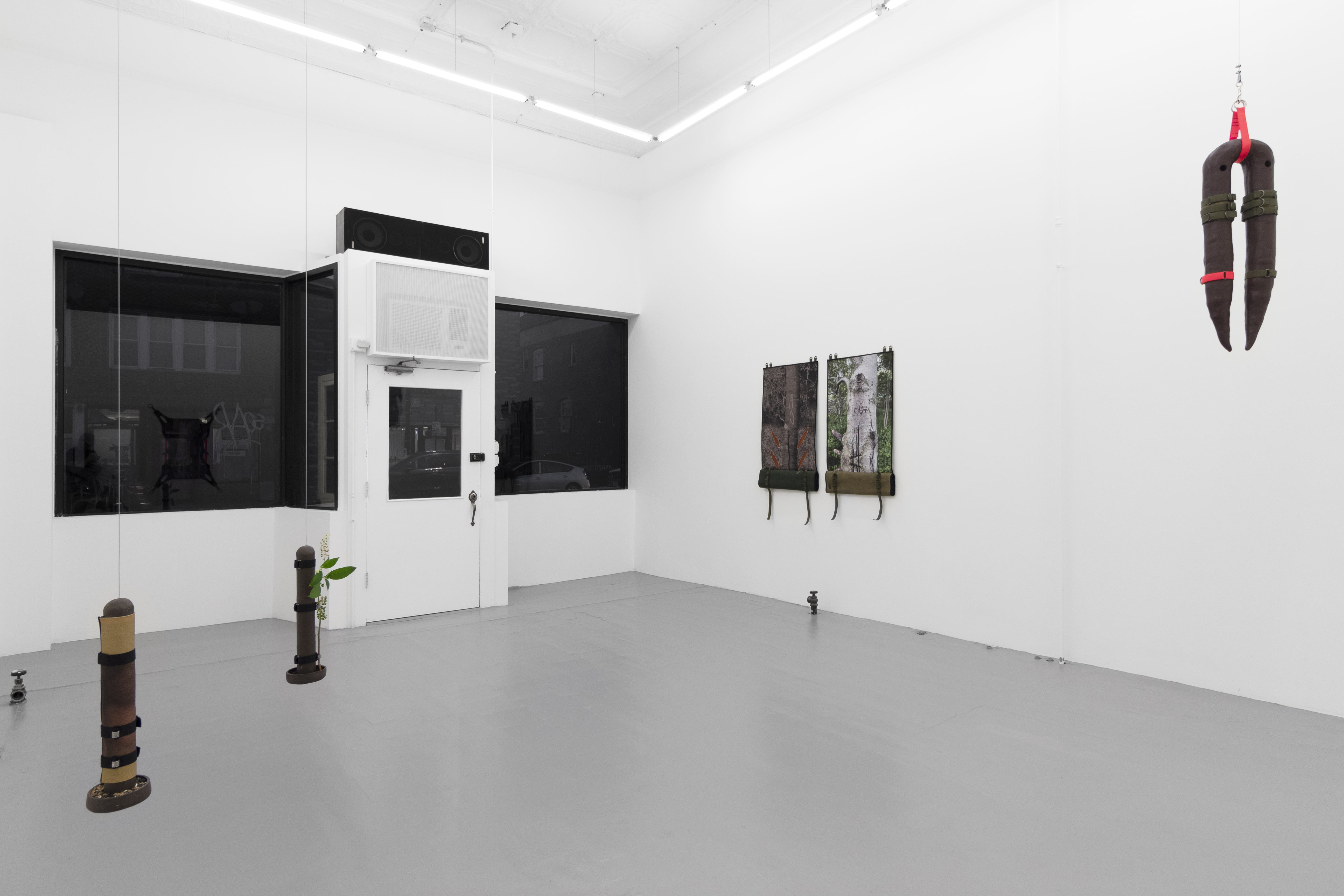 Teaching a perv how to eat honeysuckle, exhibition views. Photography: Prairie