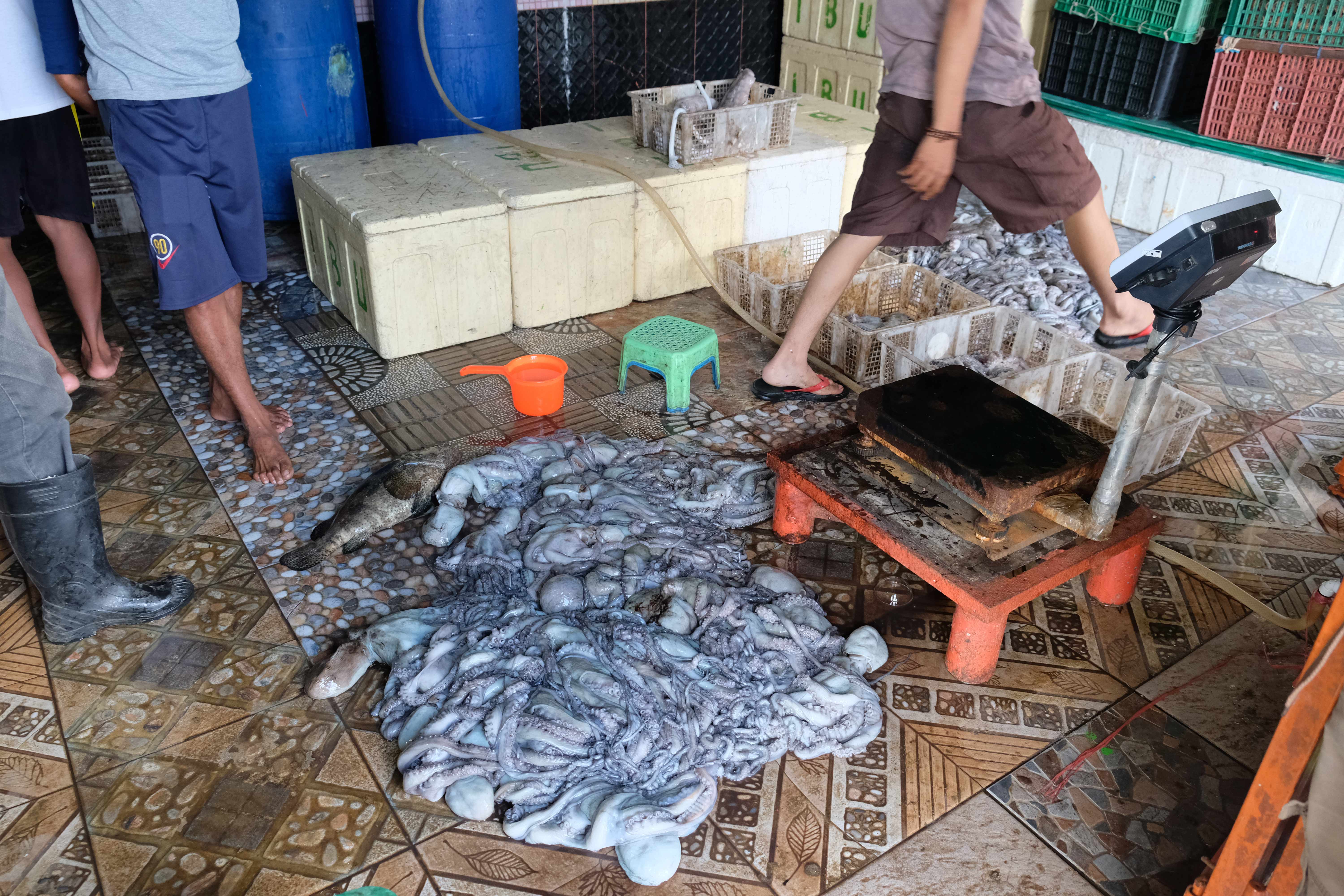 The waterfront market