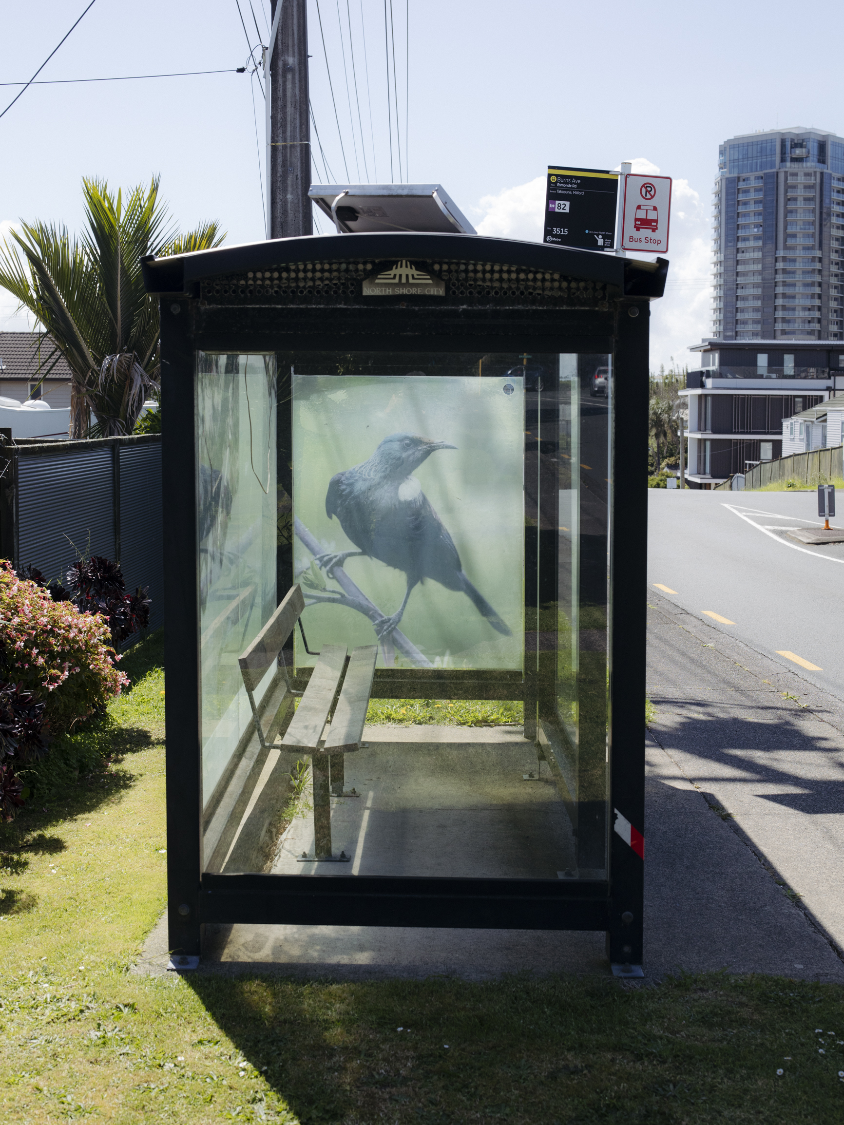 Bus stop, North Shore