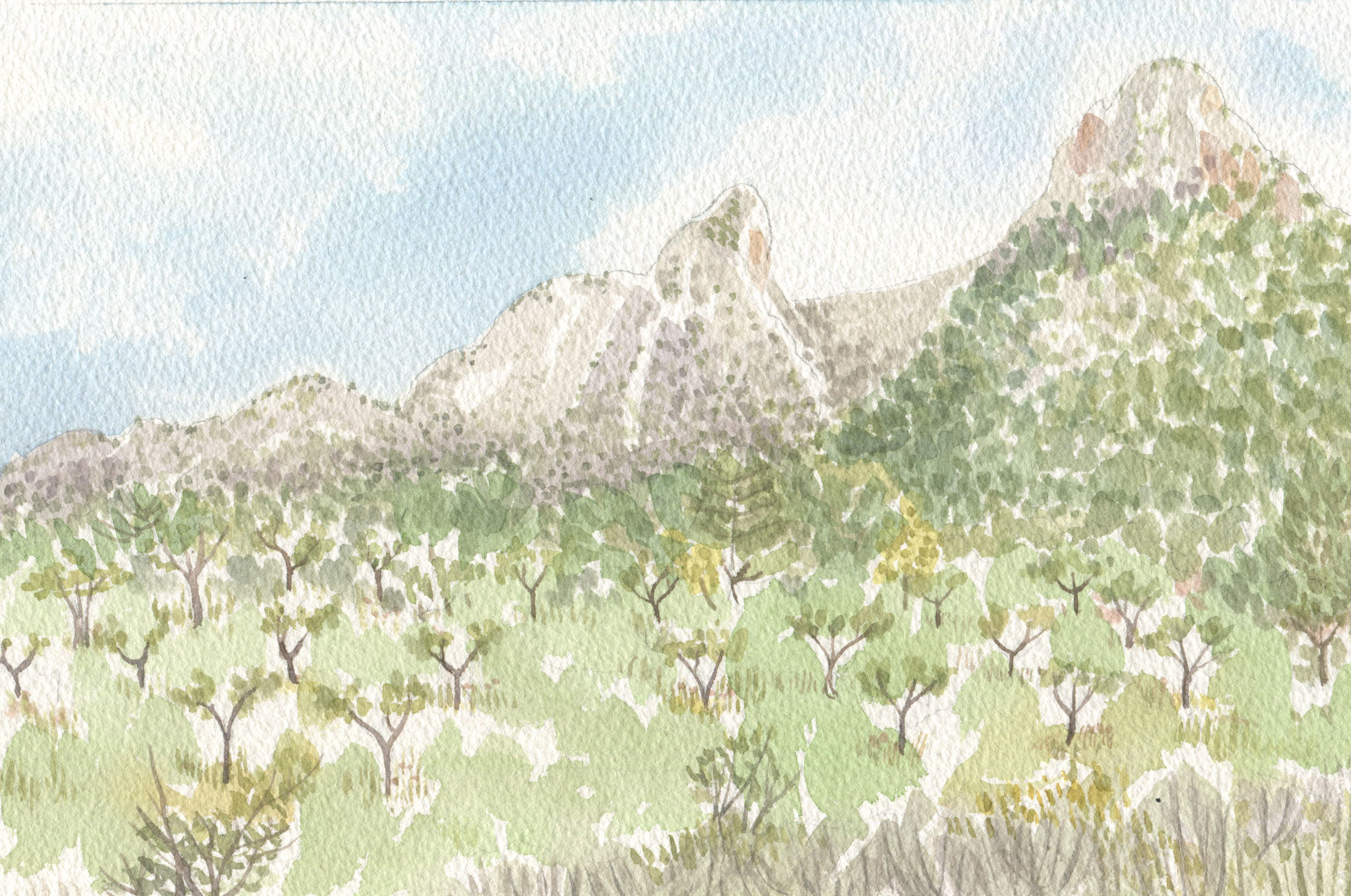 4. Mallorca (17x26cms) £100