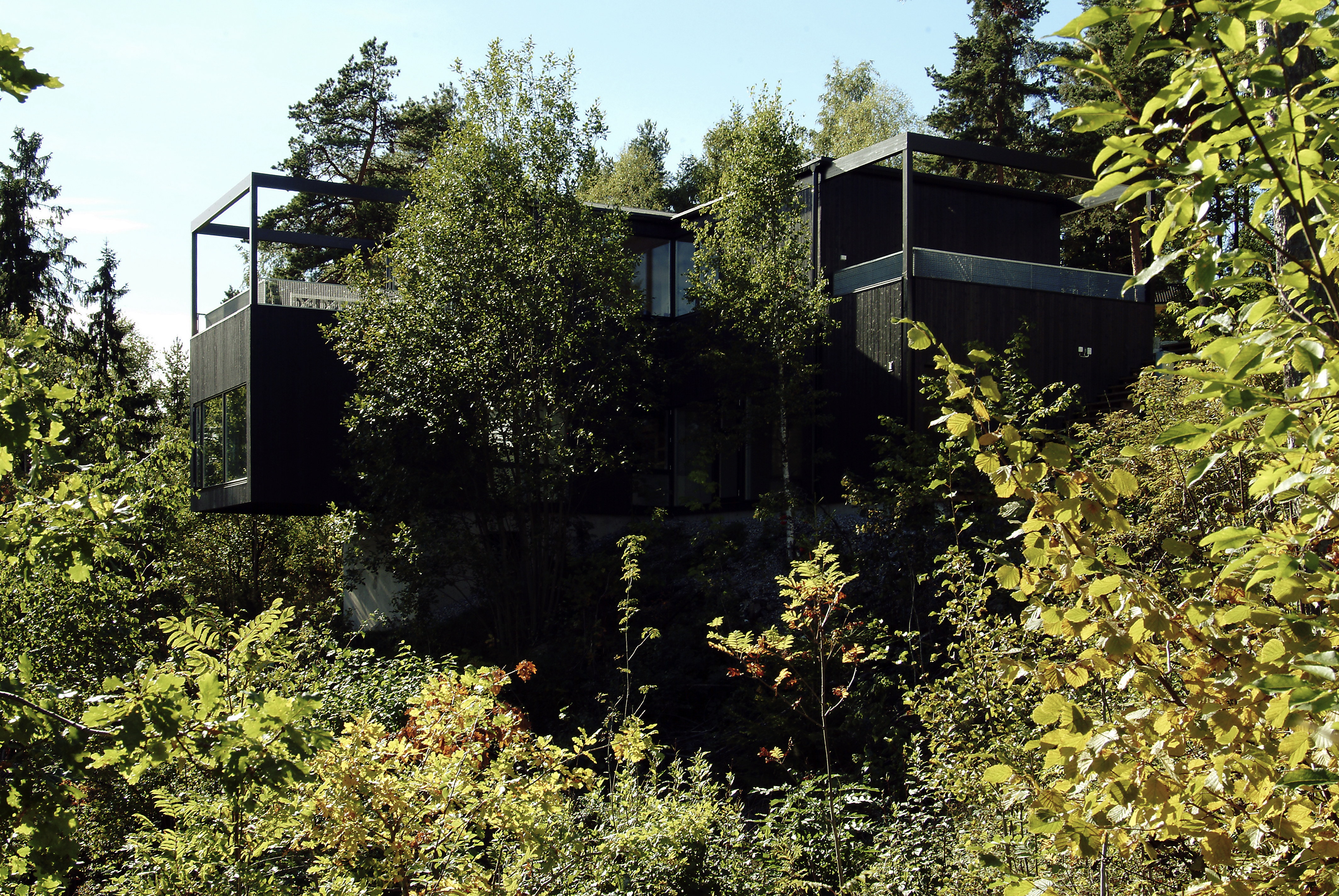 Photo: Nils Petter Dale