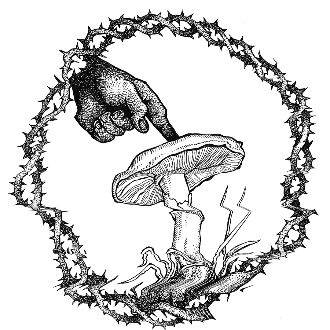 Appuyez Sur Le Champignon