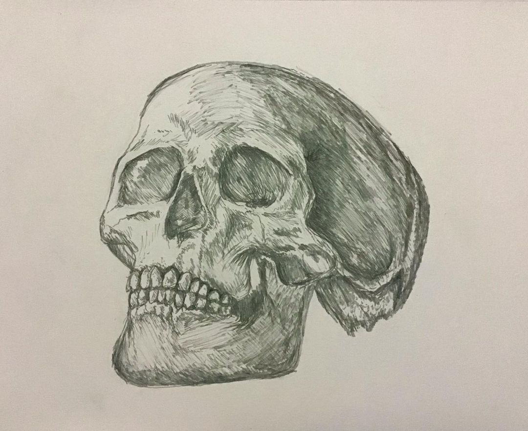 Day 31: Human Skull // Skulltober