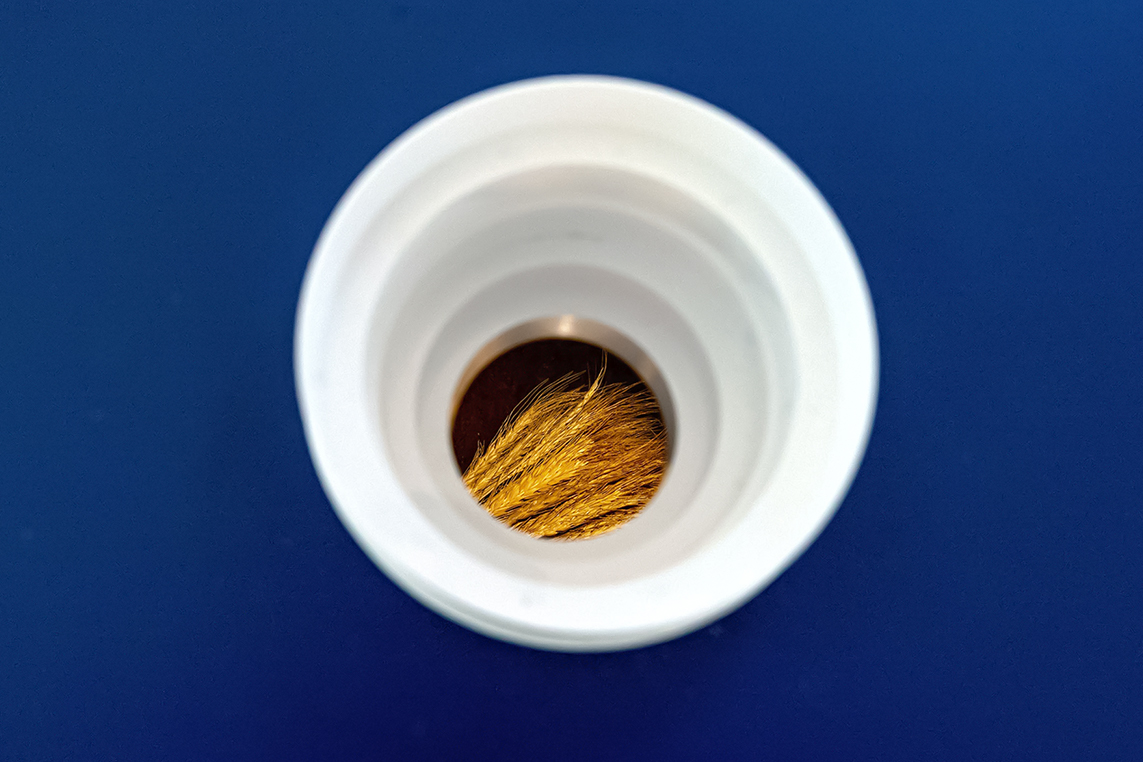 'The Crypt' (2025) &ndash; Detail: ventilation, wheat sheaf.