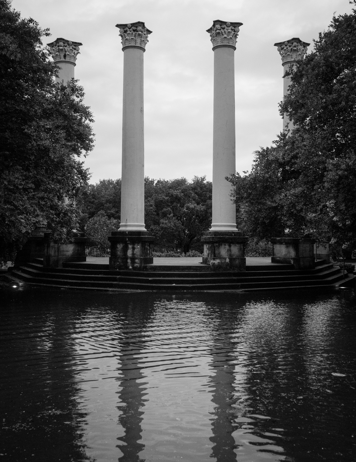 History Under Water, Harleston Village, Charleston - July 2021