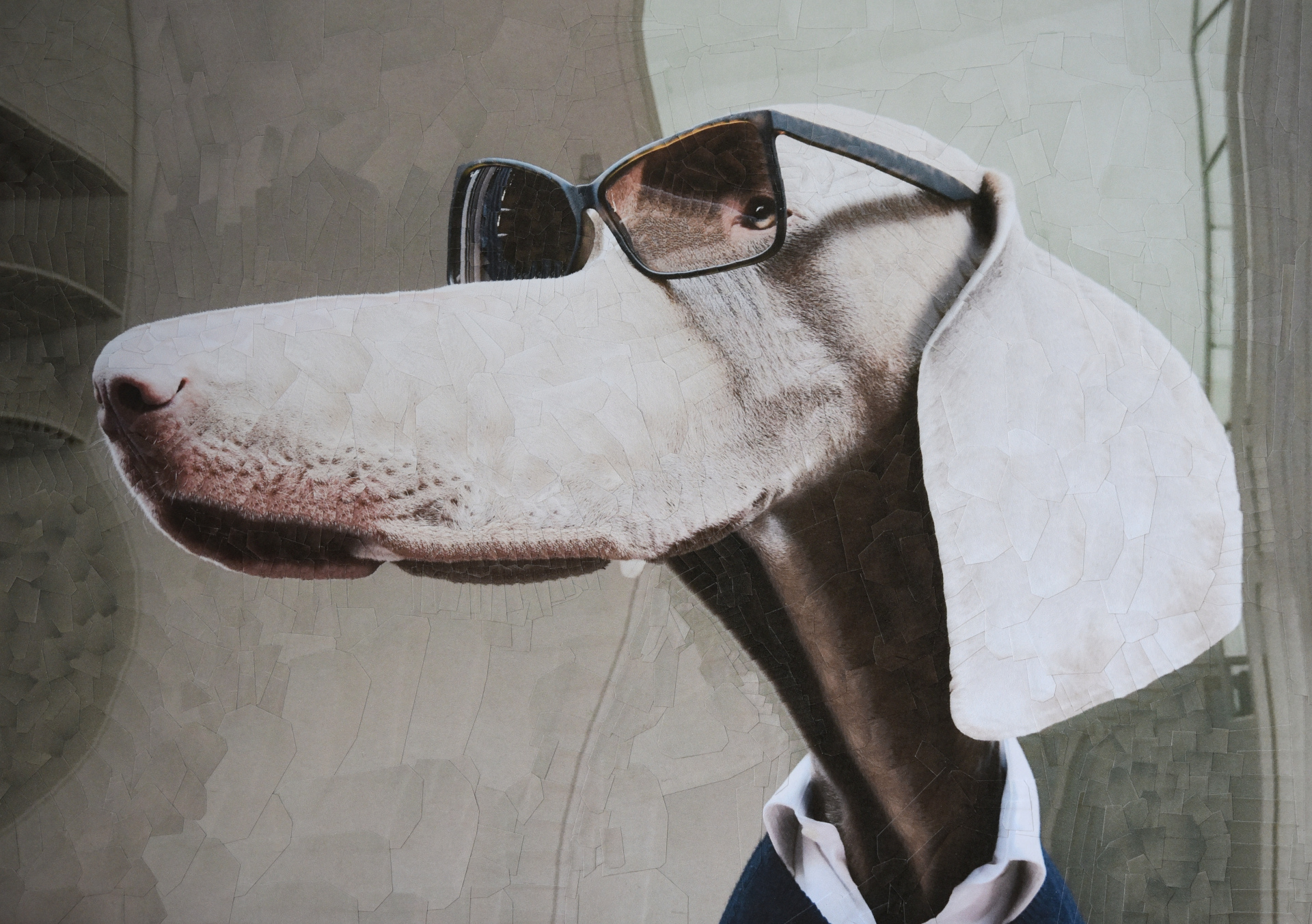 Po D'Arroz, 2019, 11.6 x 8.2 inches