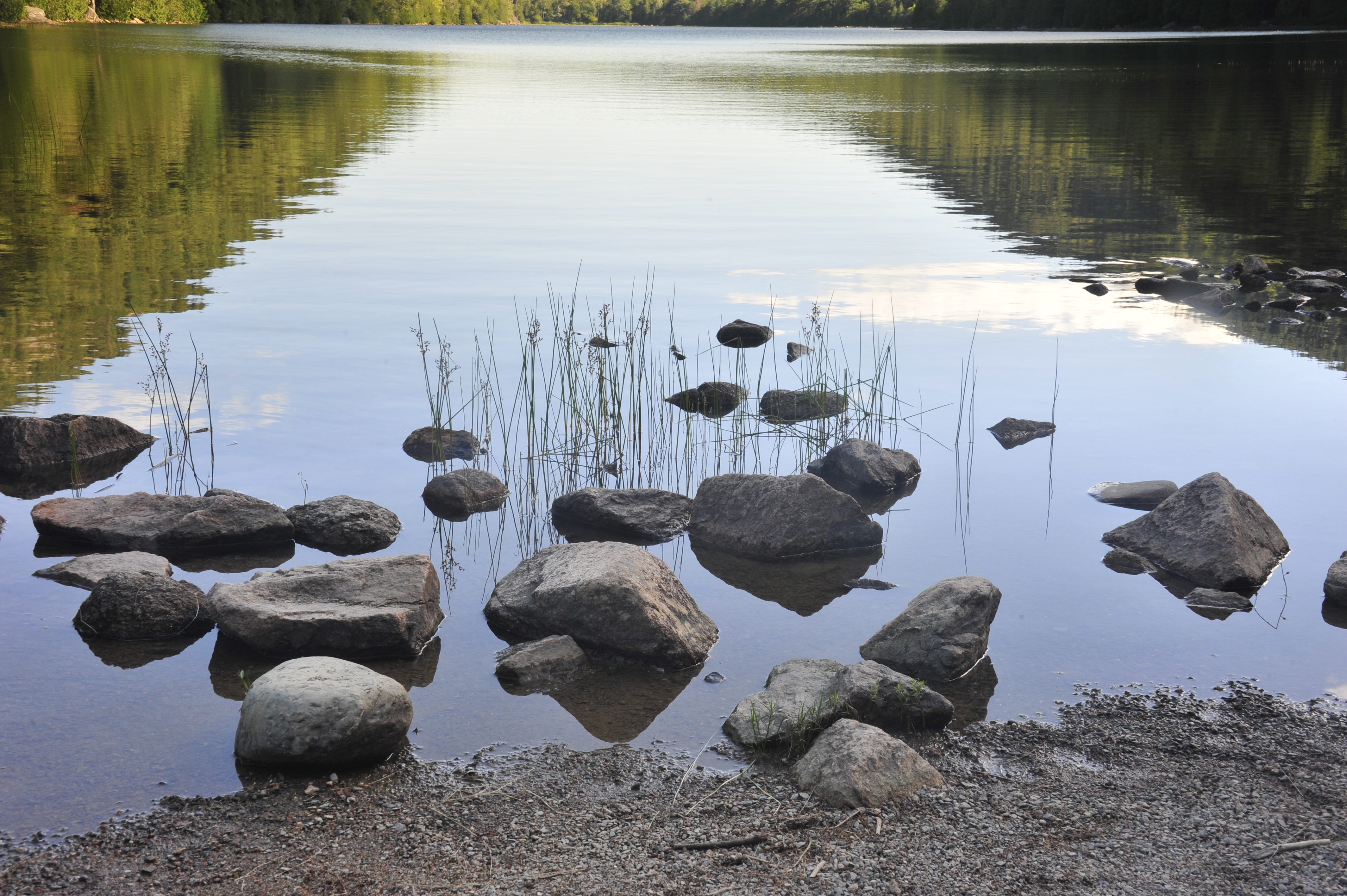 DSC 3485 MaineBUY THIS PRINT