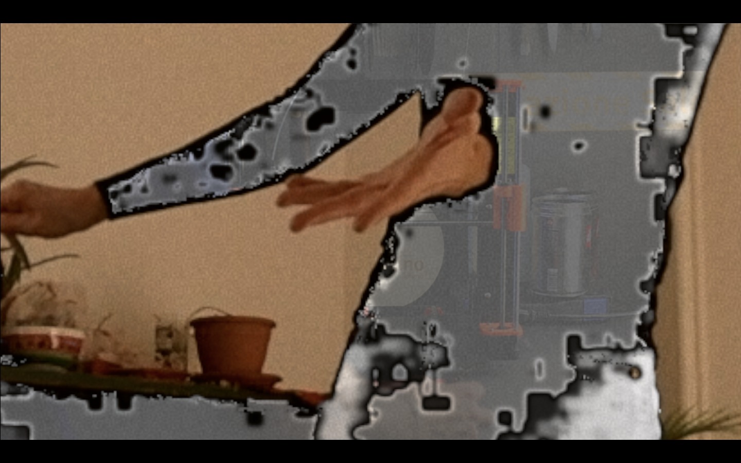 Martina Corà, In Crescendo, 2019, video installation