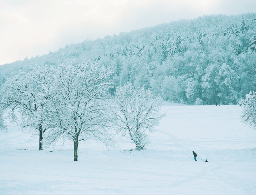 snow series — Dorothea Schubert