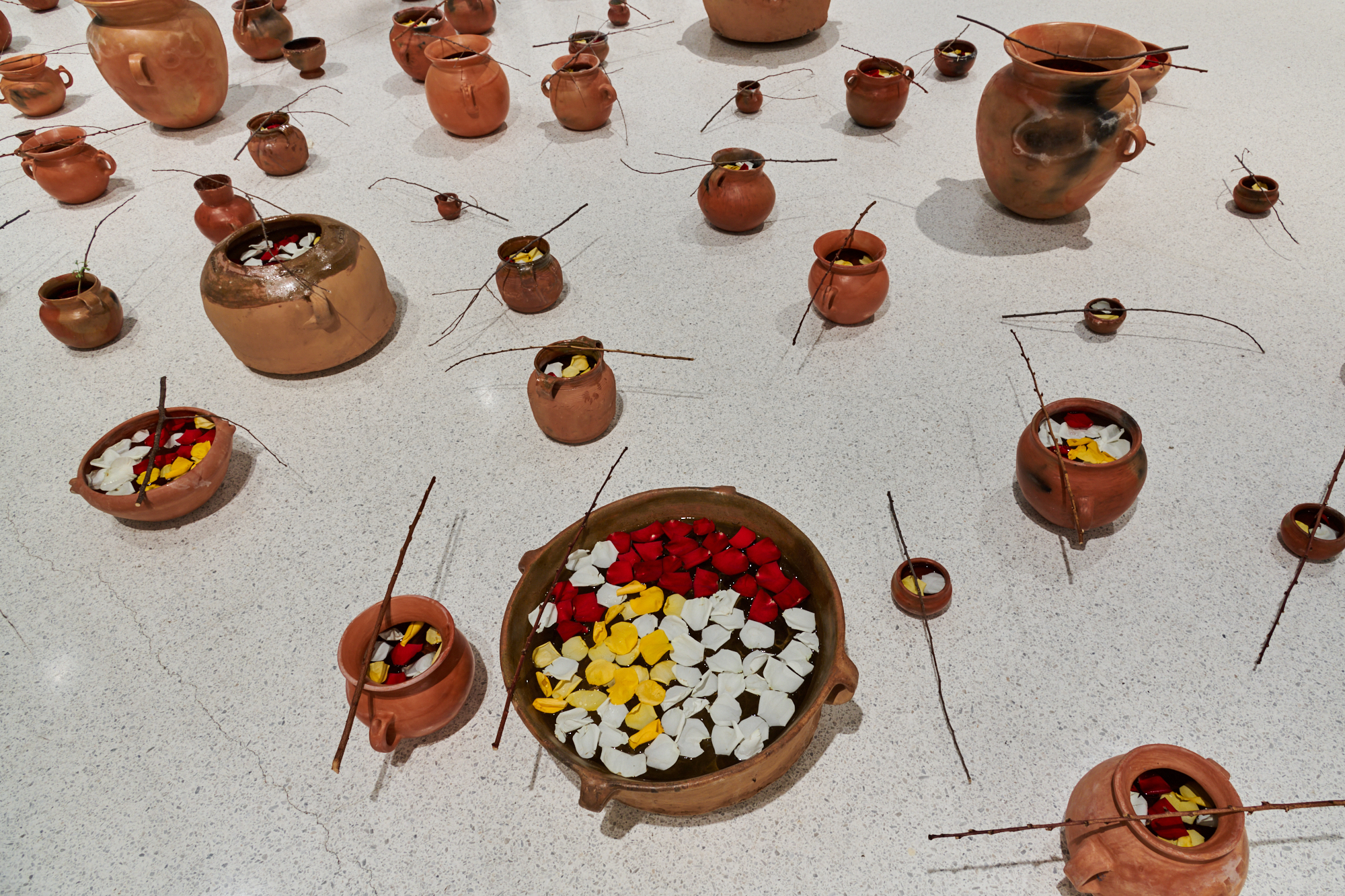 Several terracotta clay pots are placed on the ground and seen from overhead. They are filled with a liquid with flower petals floating on top, and each have a thin leafless twig placed sideways on top.