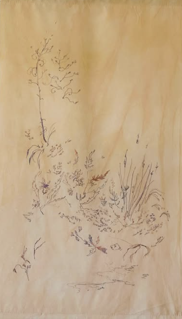 Escritura de un humedal