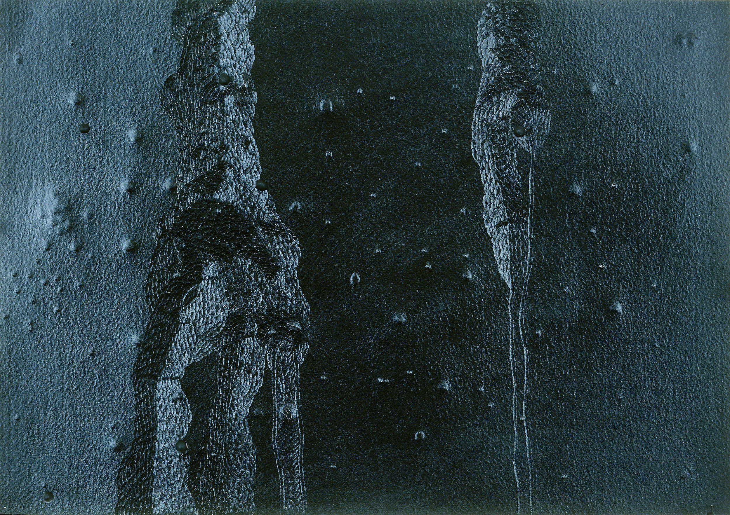  Untitled, 2007 . Cut and carved paper . 32 x 41 cm