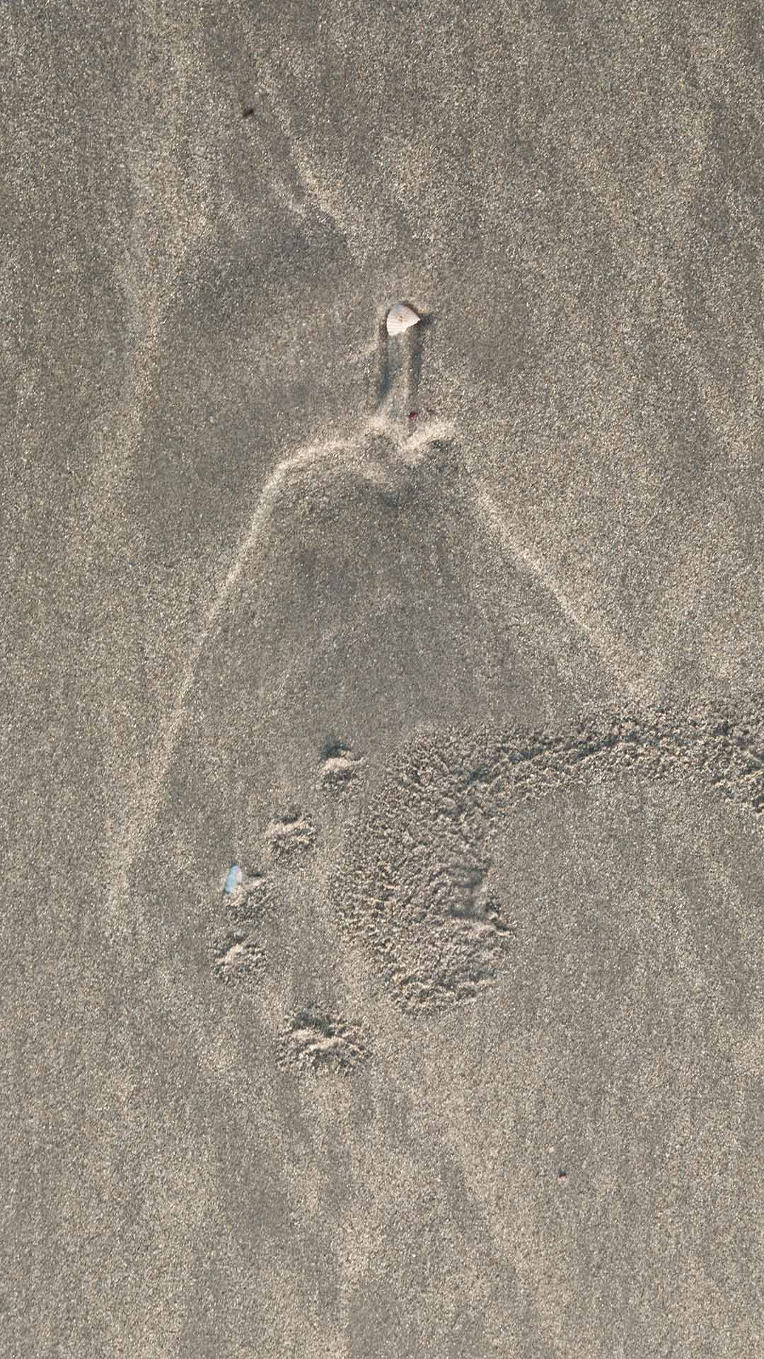 Choreographing Floors