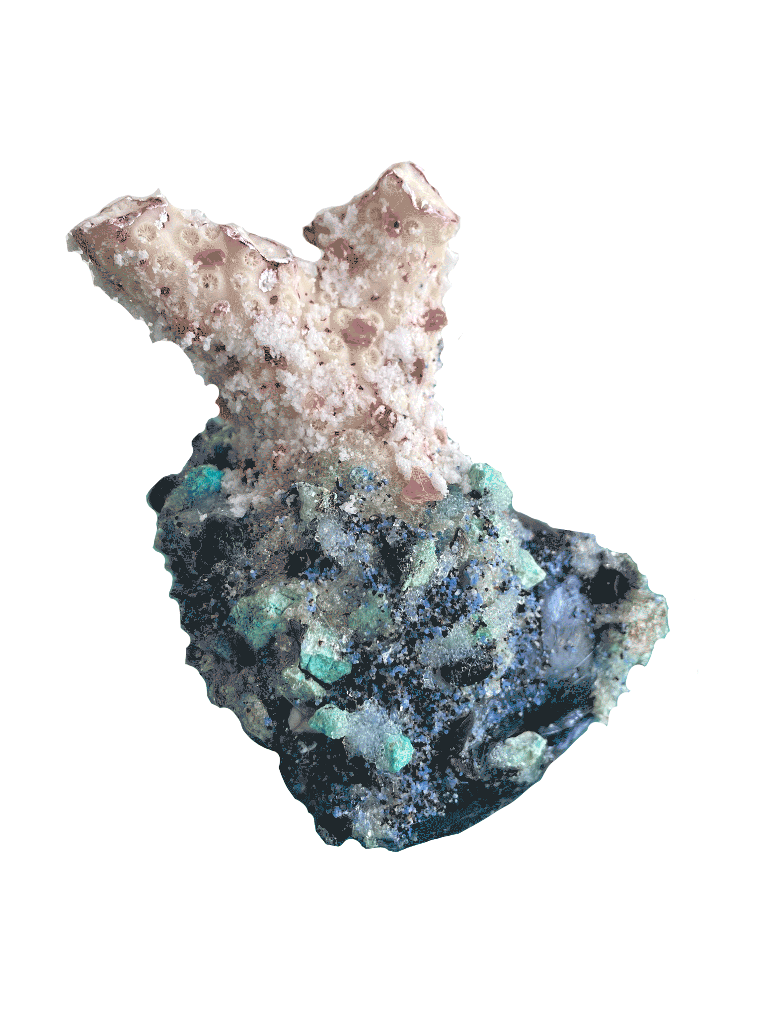 Coral III (multi-angle detail)