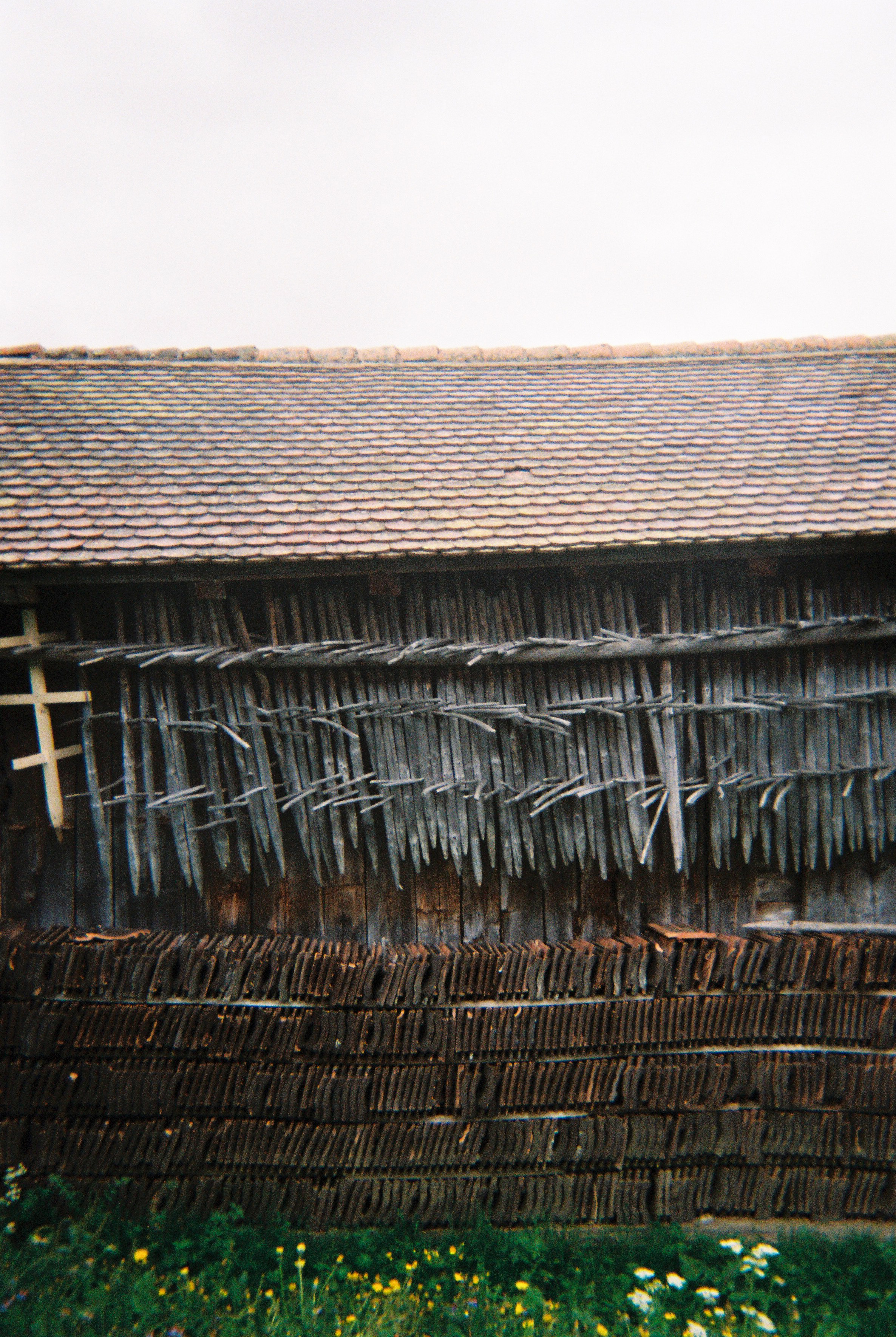 Photographs taken while walking on THE LINE in Liechtenstein by Studio Venice