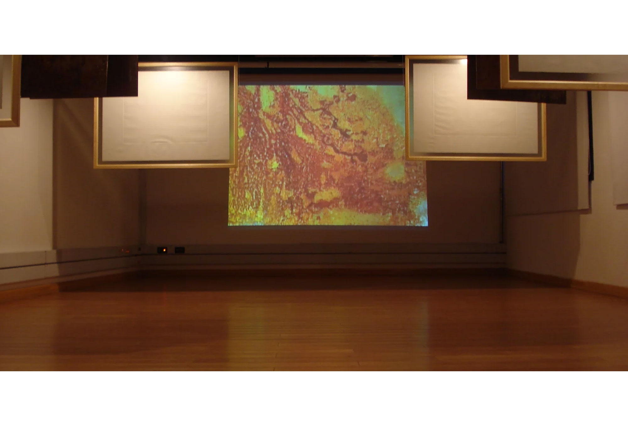 Temporis. Timelapse video, Intaglios (grabado). Dimensiones: 100 cm X 75 cm. 2010