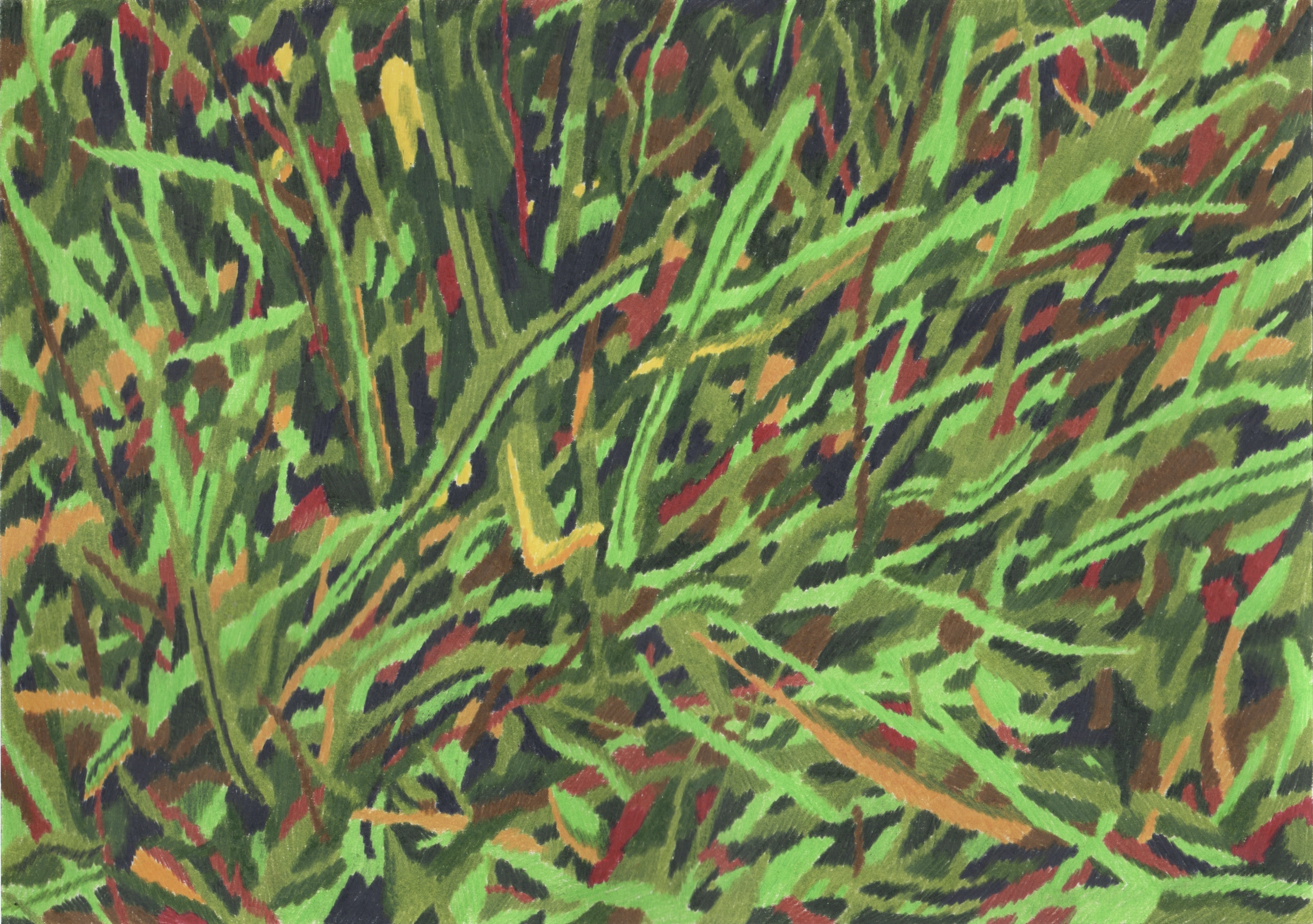 Neon grasses, coloured pencil on paper