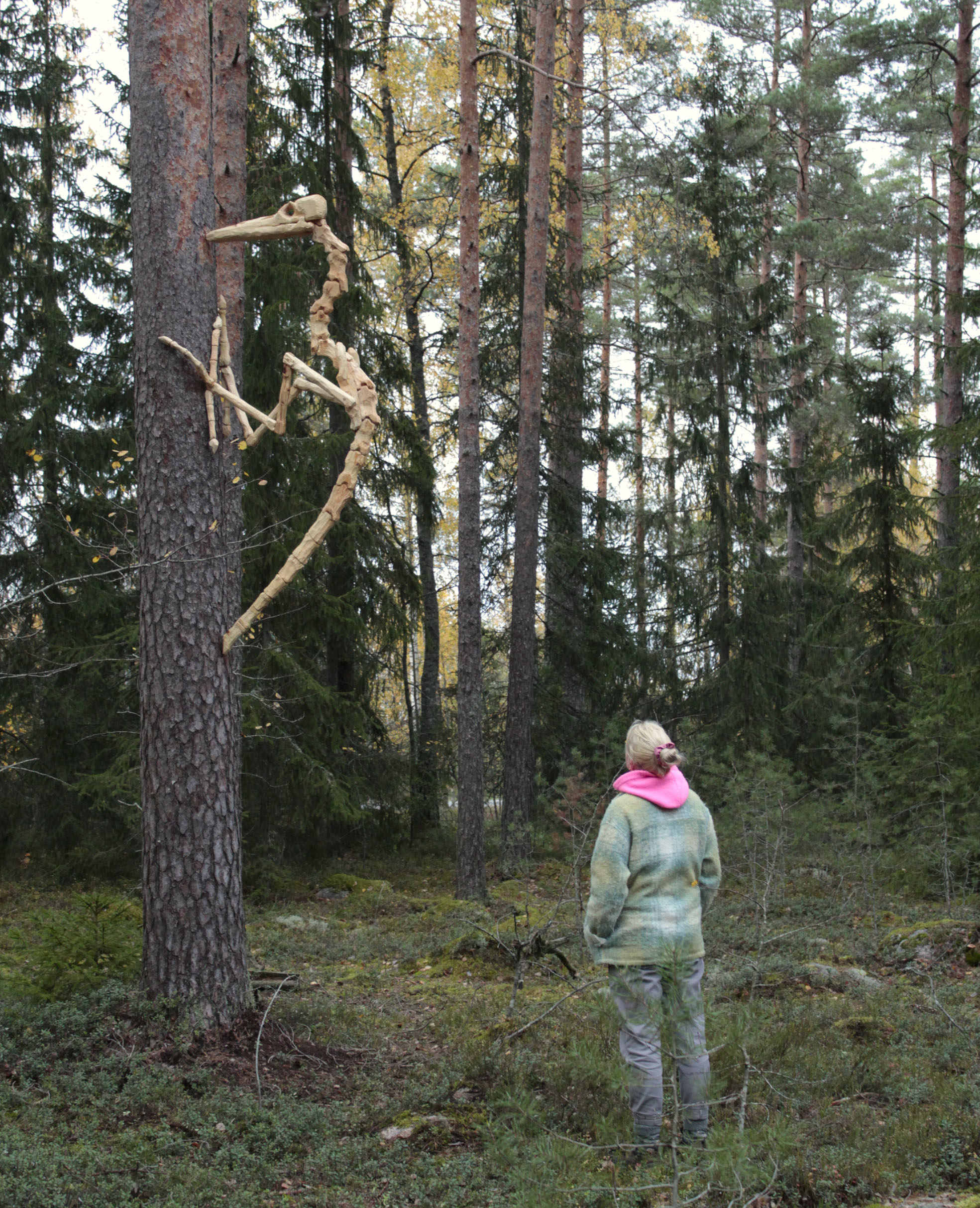 Dendrocopos. Installation view