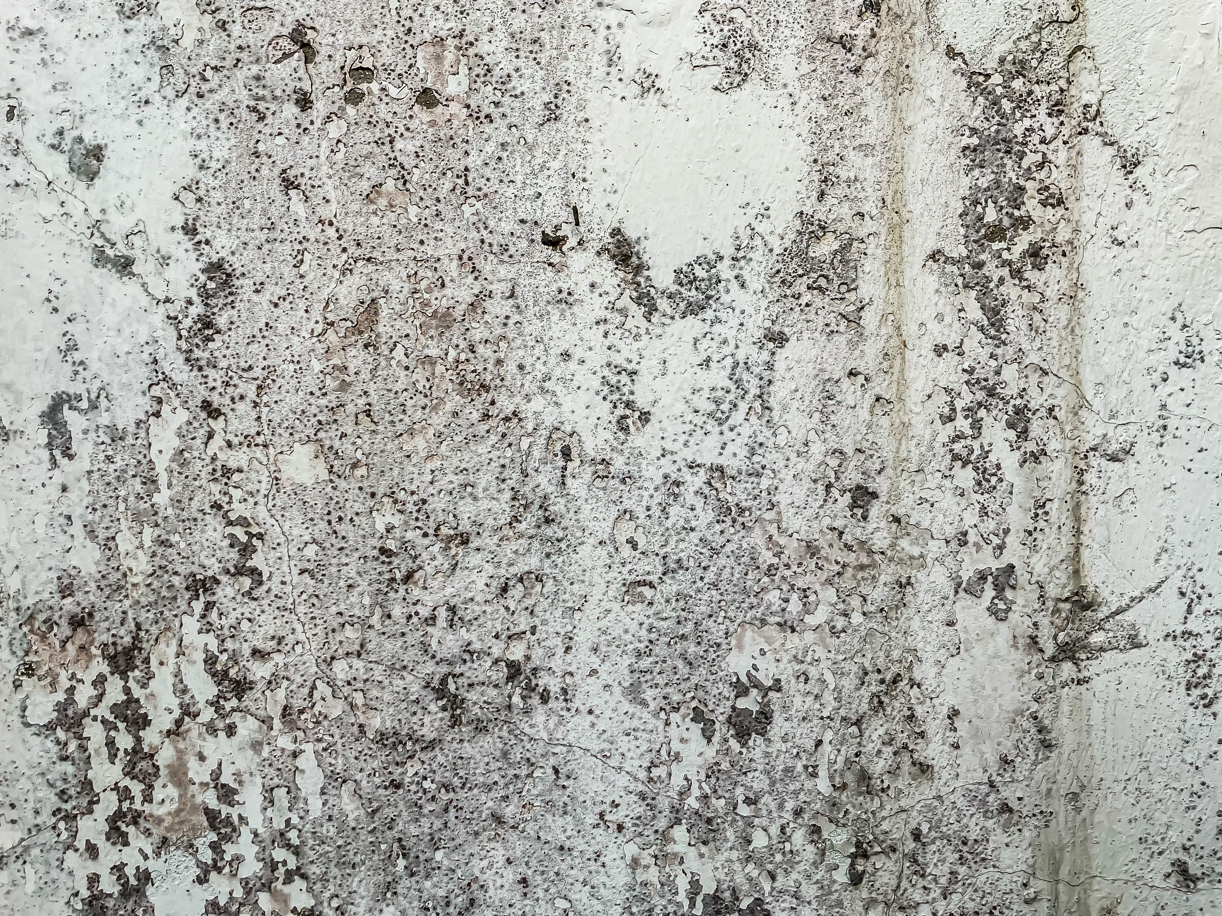 Labi_Kofi_Time-Culture_ConcreteJungle_UO-02