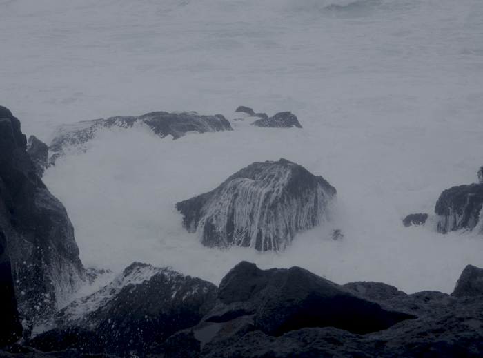 limited edition pigment print