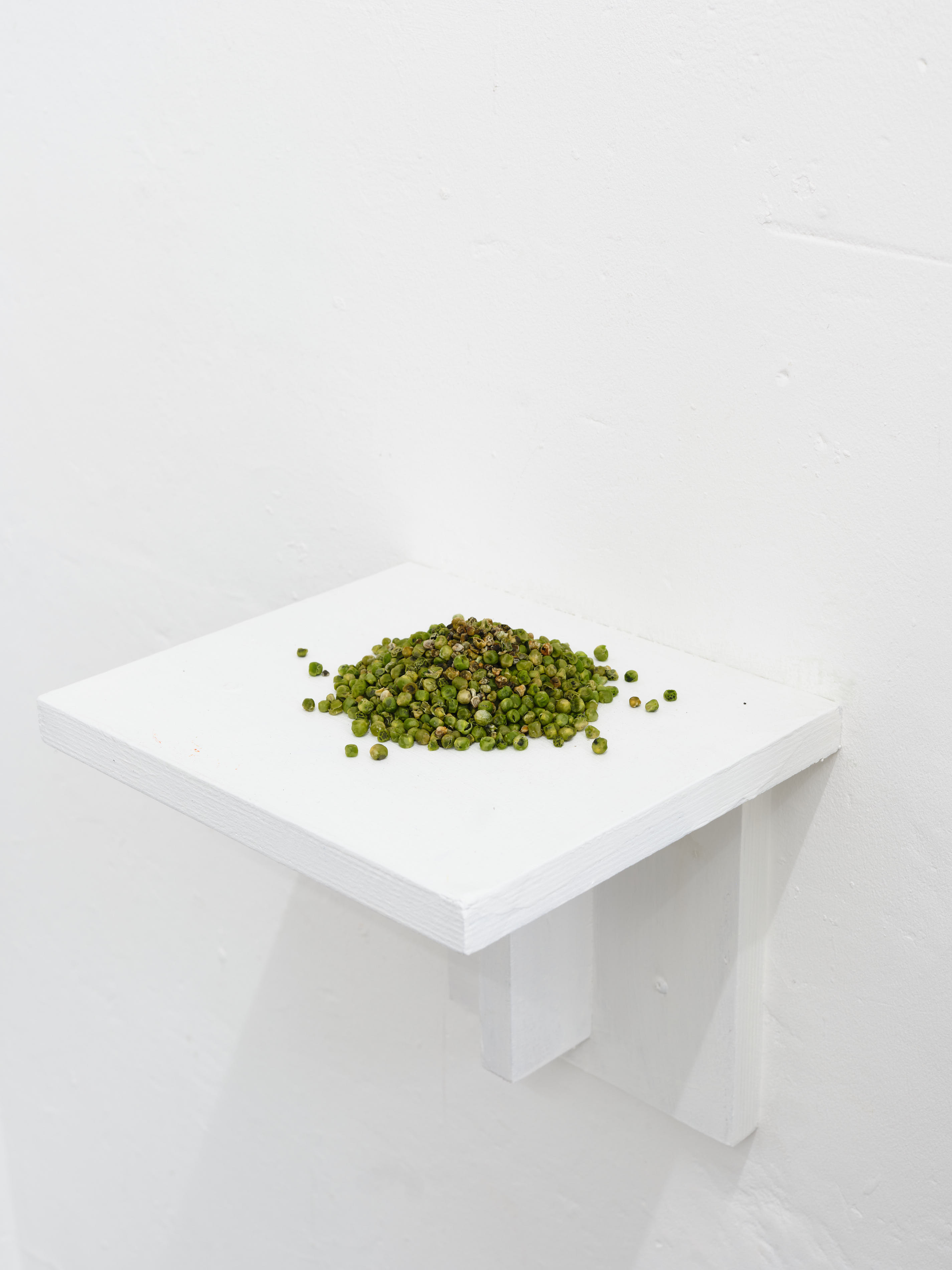 Barter. Jasmine Pajdak [photo credit: M8R8S Studio]